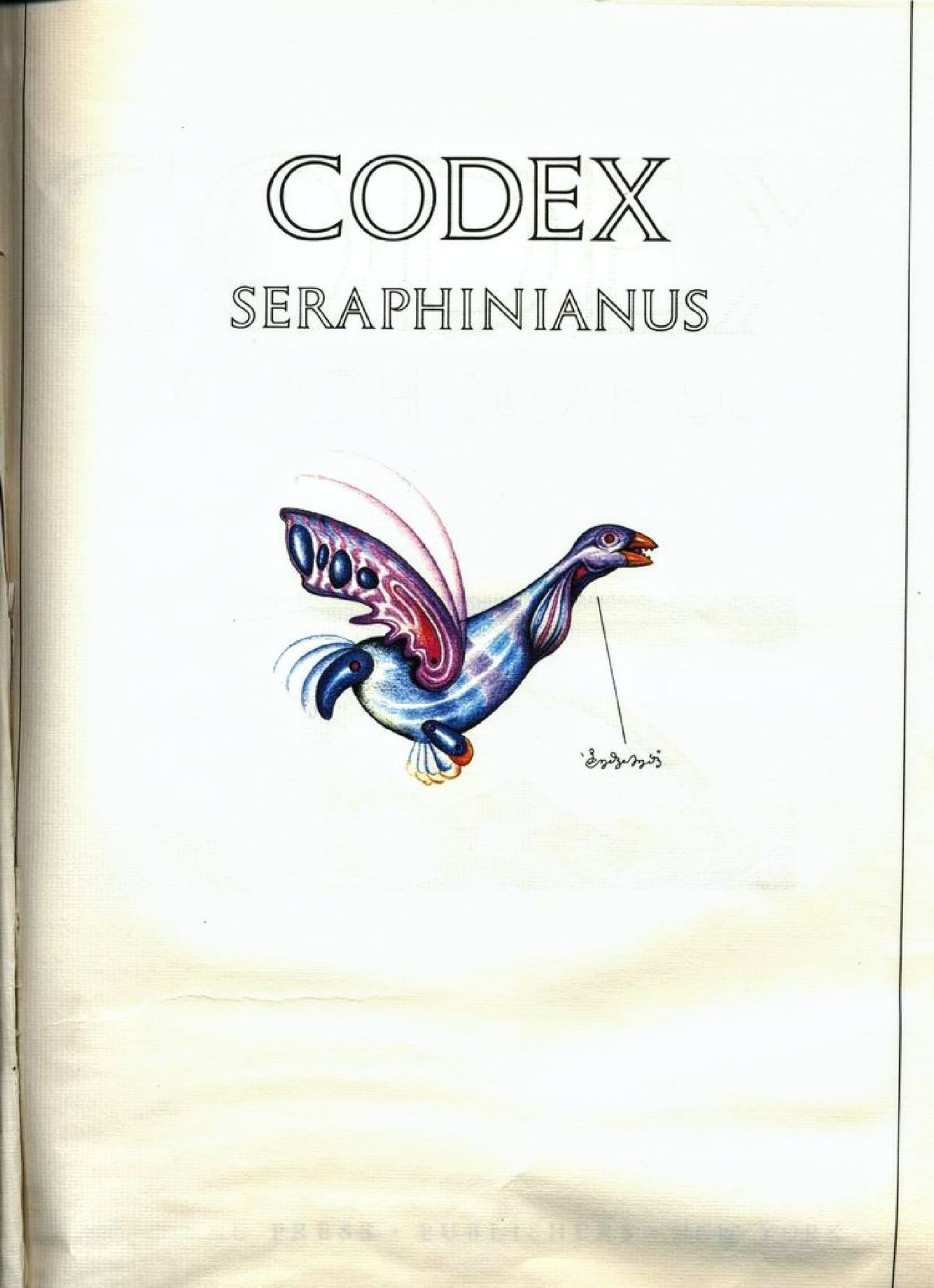 Frontespizio del Codex con un disegno a colori e testo asemico.

In alto il titolo in caratteri latini:
CODEX SERAPHINIANUS
A cento pagina un disegno che raffigura qualcosa che assomiglia a un uccello in volo.
Vicino al collo un'iscrizione asemica.
