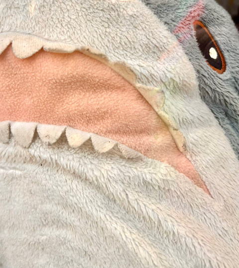 Close up of a cuddly toy shark pressed against the glass of a charity shop window