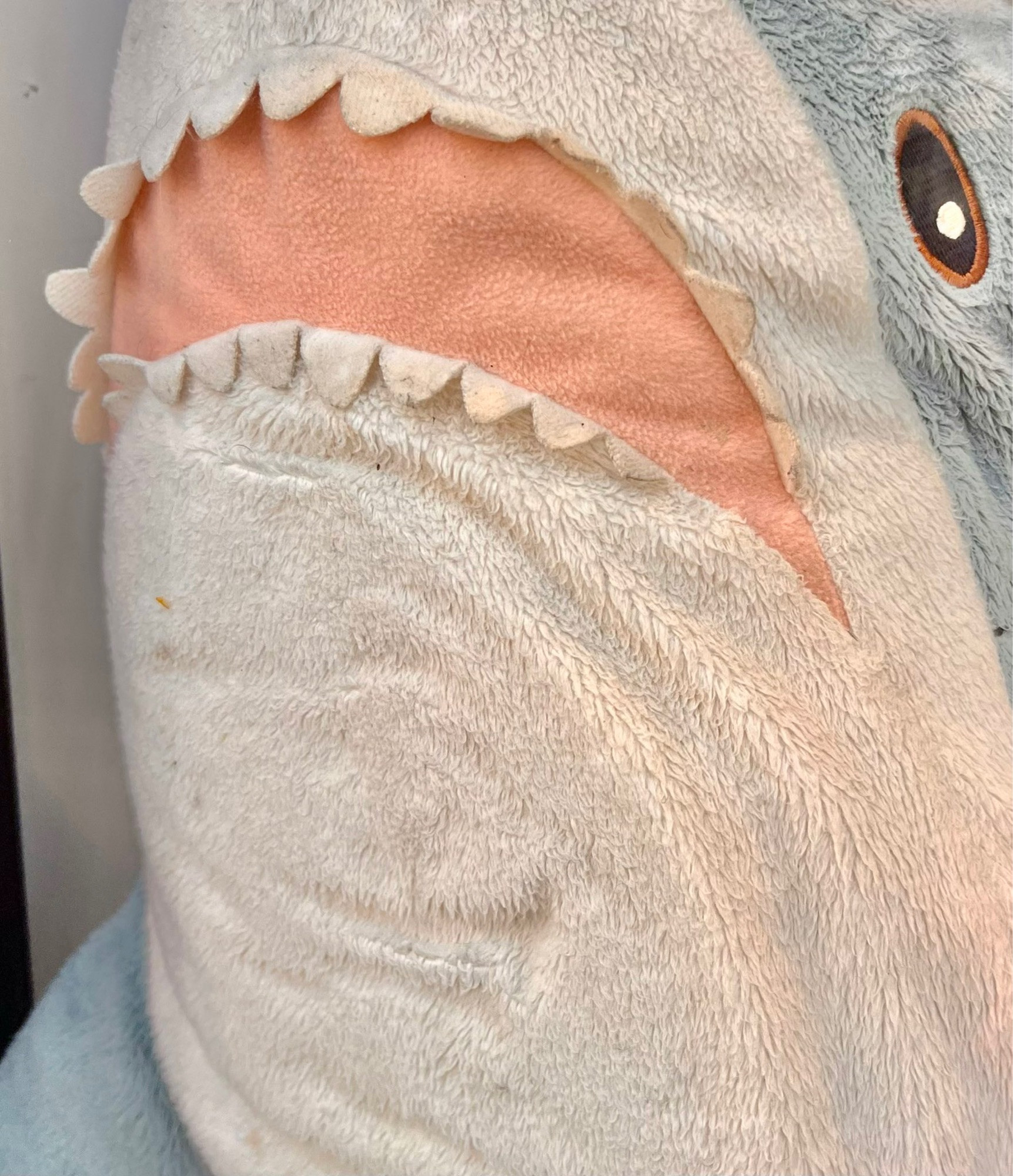 Close up of a cuddly toy shark pressed against the glass of a charity shop window