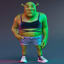 Shrek de topinho cruzado preto, um shortinho jeans bem pequenininho e converse preto e branco.