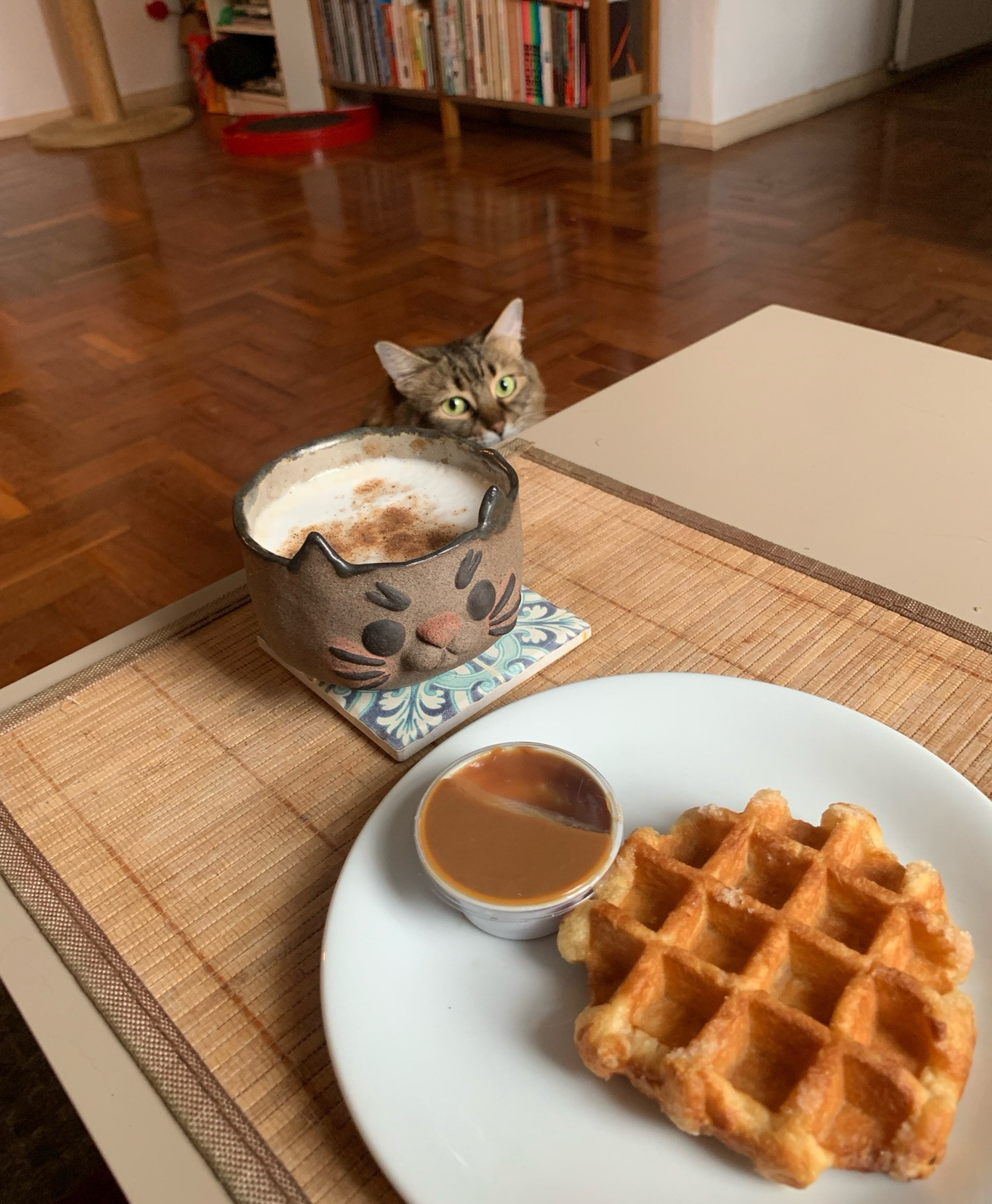 celine gata tigradinha vislumbra a mesa com xícara de gato de pumpkin spice latte e waffle 