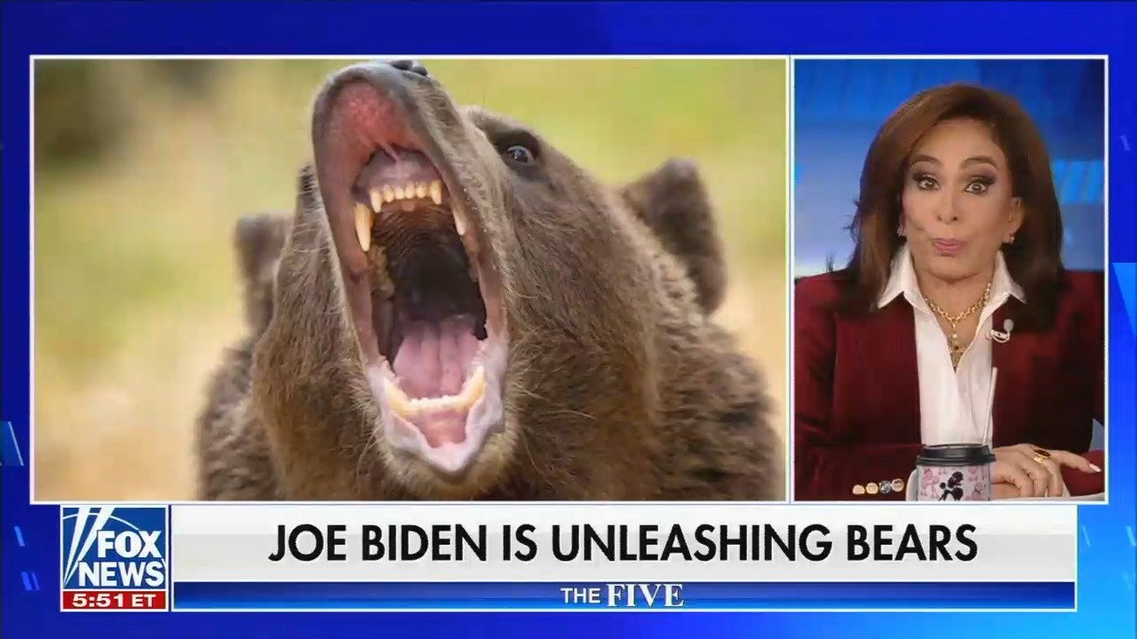 /FOX NEWS
5:51 ET
JOE BIDEN IS UNLEASHING BEARS