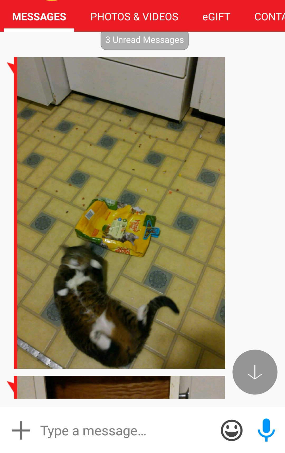 Screenshot of the messages app showing a picture of pepper, a tabby cat, belly up on a linoleum floor with a ripped open bag of cat food and kibble from the bag scattered around her.