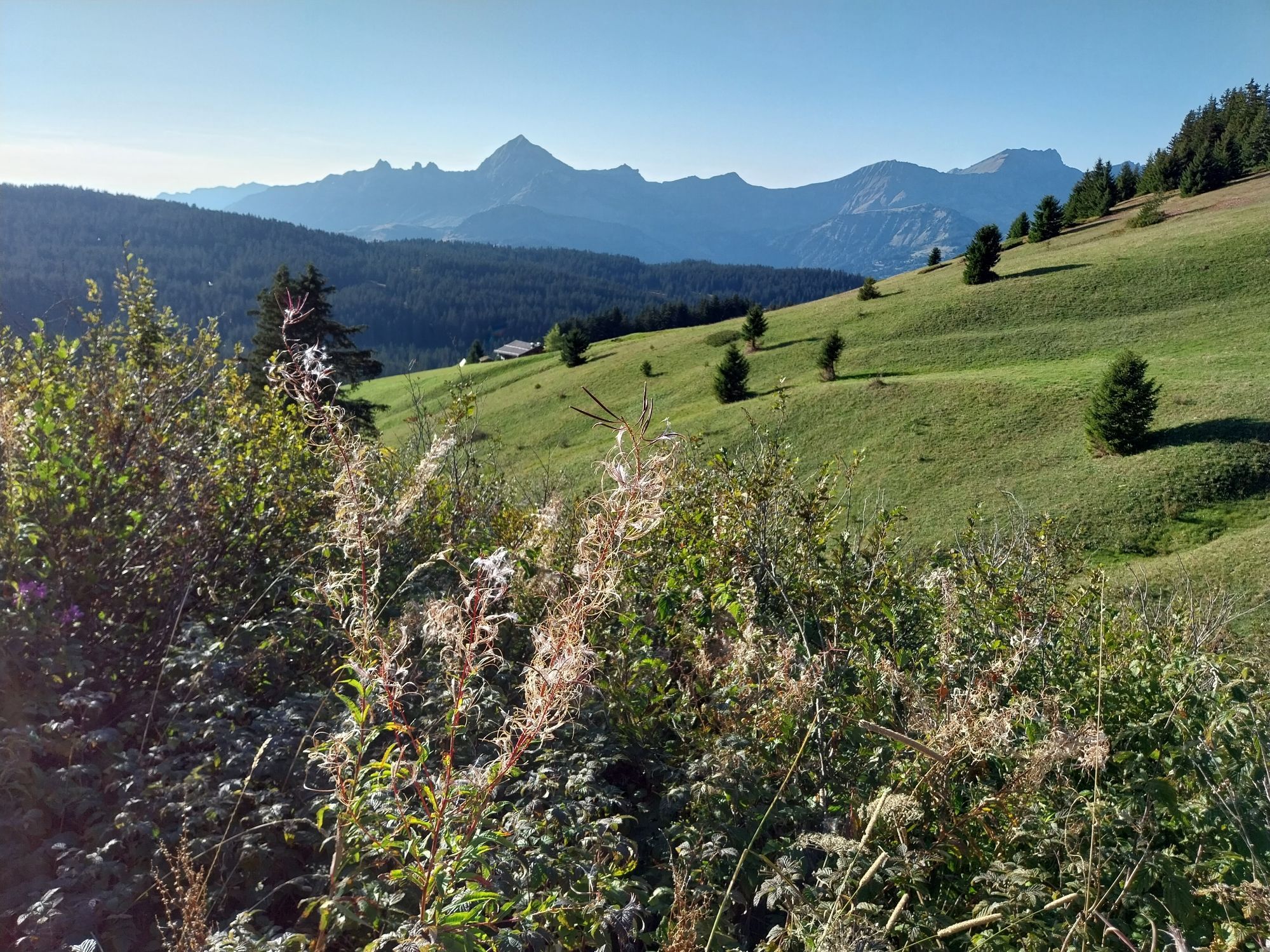 Alpage en Beaufortain 
Savoie