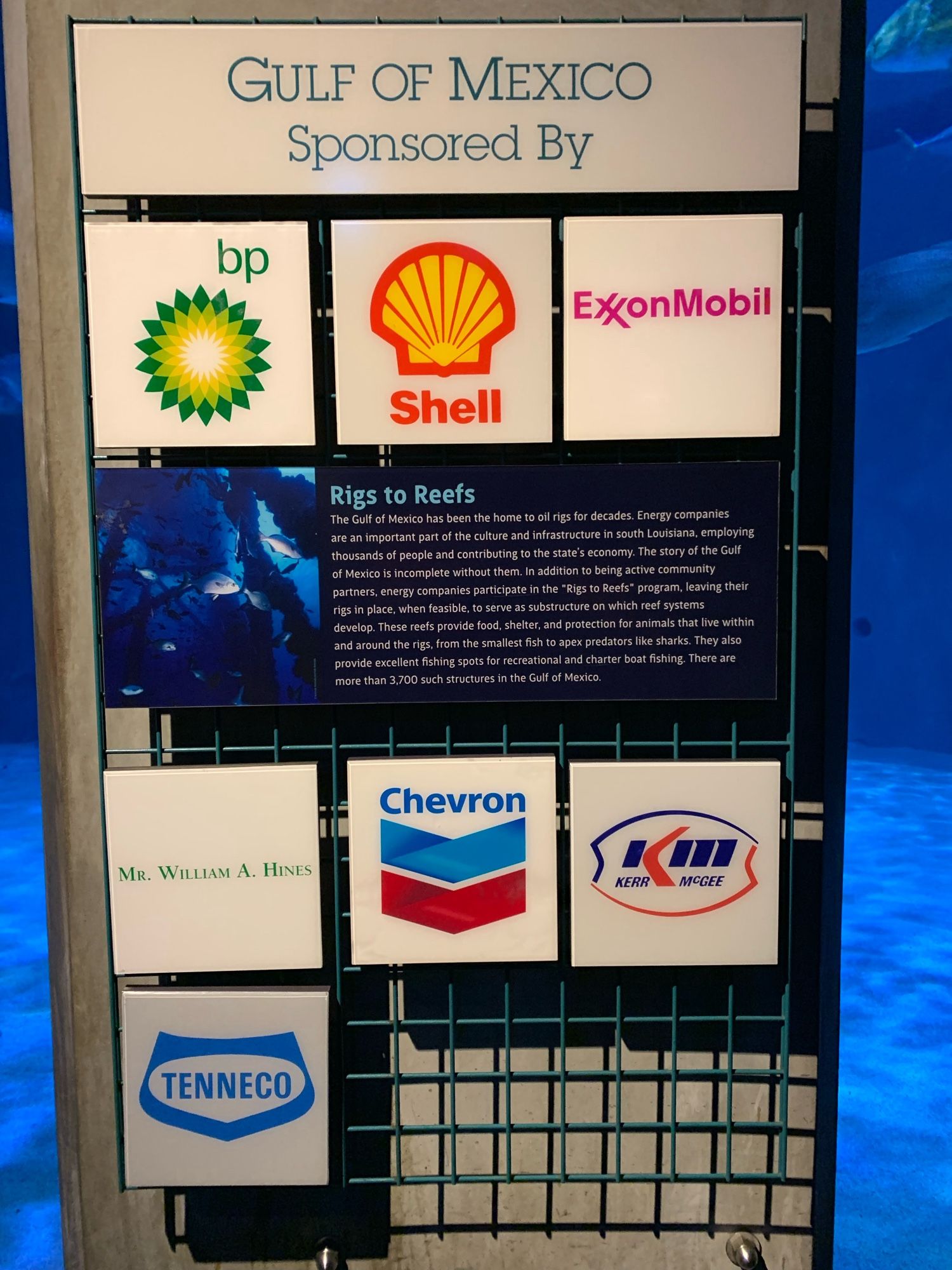 GULF OF MEXICO
Sponsored By
bp, ExonMobil, Shell, Chevron, etc

Rigs to Reefs
The Gulf of Mexico has been the home to oil rigs for decades. Energy companies are an important part of the culture and infrastructure in south Louisiana, employing thousands of people and contributing to the state's economy. The story of the Gulf of Mexico is incomplete without them. in addition to being active community partners, energy companies participate in the "Rigs to Reefs* program, leaving their rigs in place, when feasible, to serve as substructure on which reef systems develop. These reefs provide food, shelter, and protection for animals that live within and around the rigs. from the smallest fish to apex predators like sharks. They also provide excellent fishing spots for recreational and charter boat fishing. There are more than 3,700 such structures in the Gulf of Mexico.