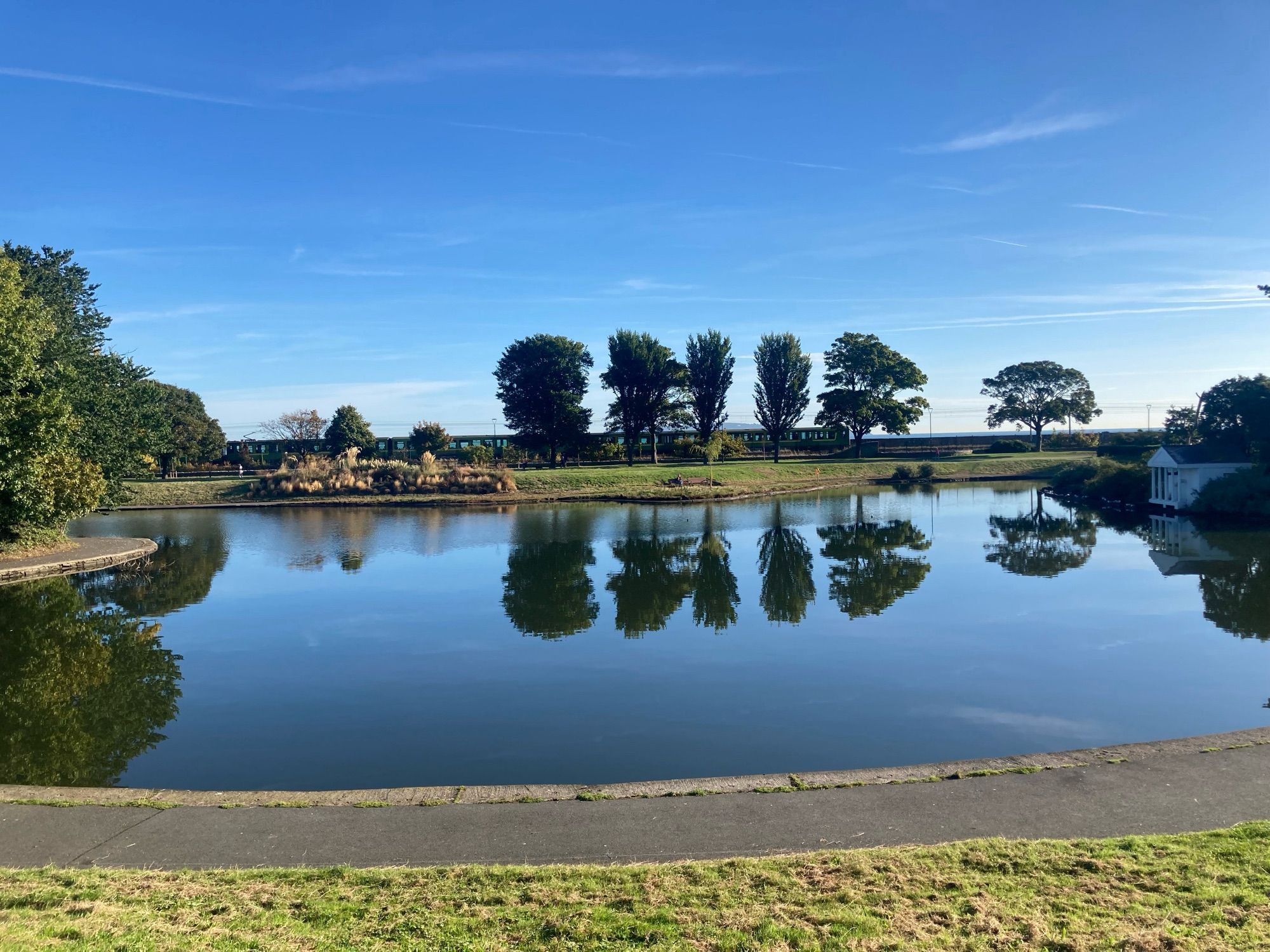 A line of 4 trees and a pond and the Irish Sea in the background