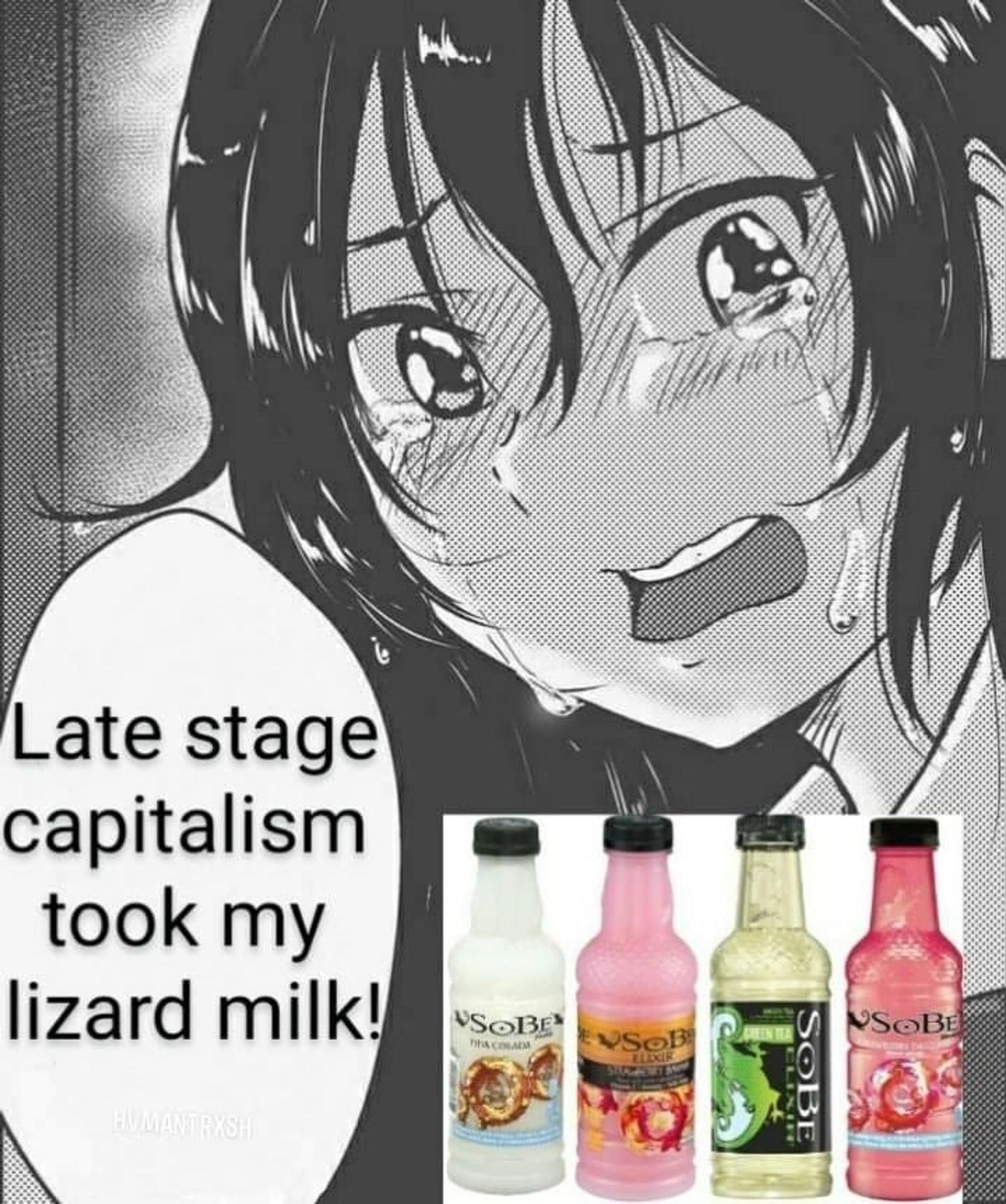 A face drawn in anime style looks dramatically to the viewer, tears steaming from both eyes, hair hanging messily, mouth agape and wavering. Below the face, a line of 4 classic Sobe flavors, now lost to time. The subject speaks in a text bubble: "Late stage capitalism took my lizard milk!"