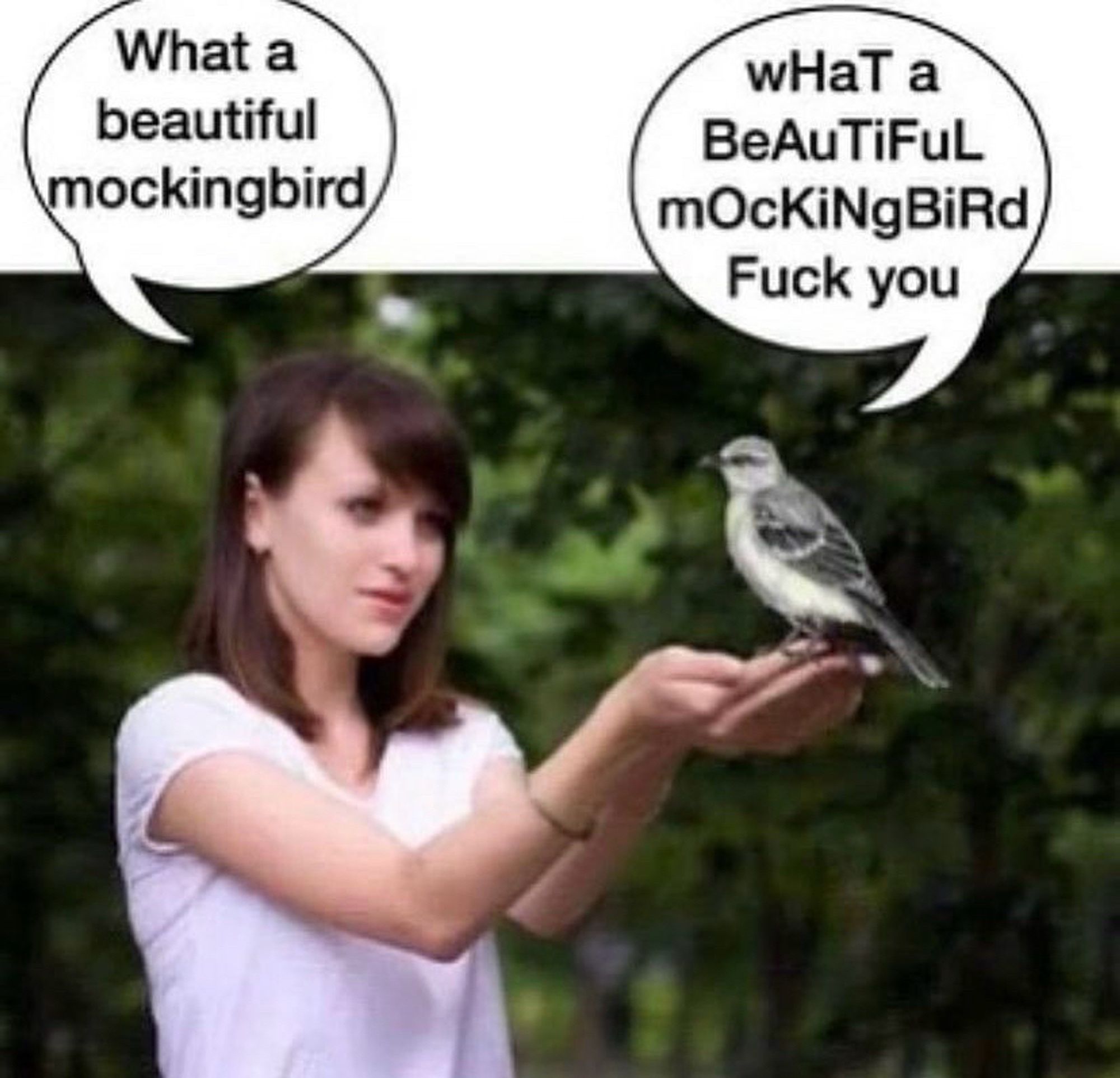 What a beautiful mockingbird

wHaT a BeAuTiFuL mOcKiNgBiRd
Fuck you