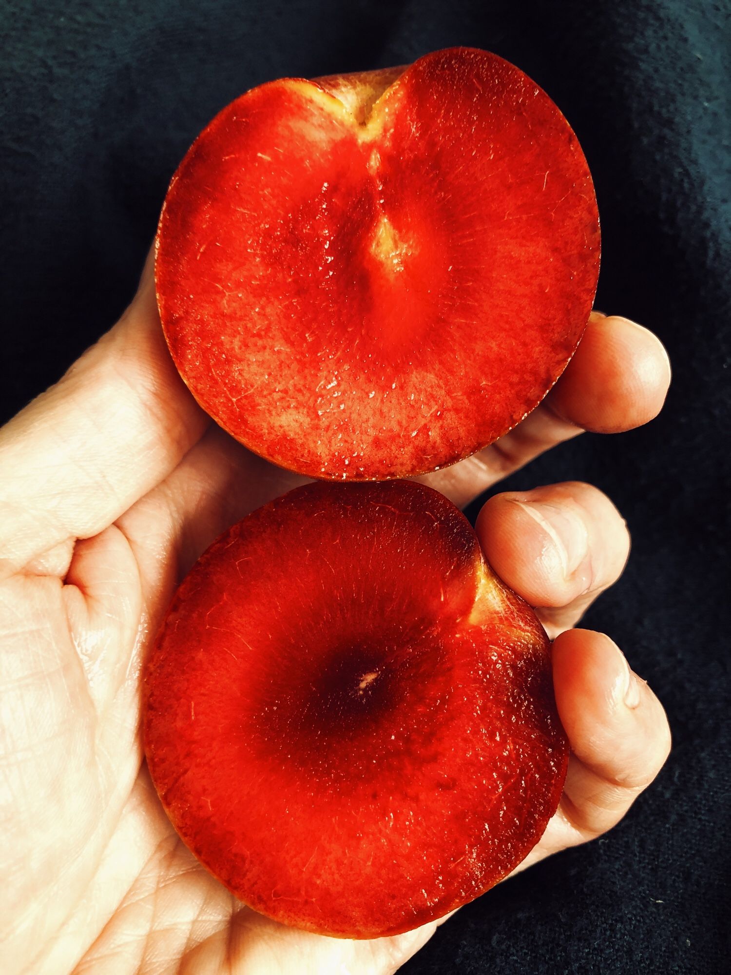 My hand, white skin, holds a pluot cut in half. It’s an unreal vivid blood red, shot with orange and black. Dark background