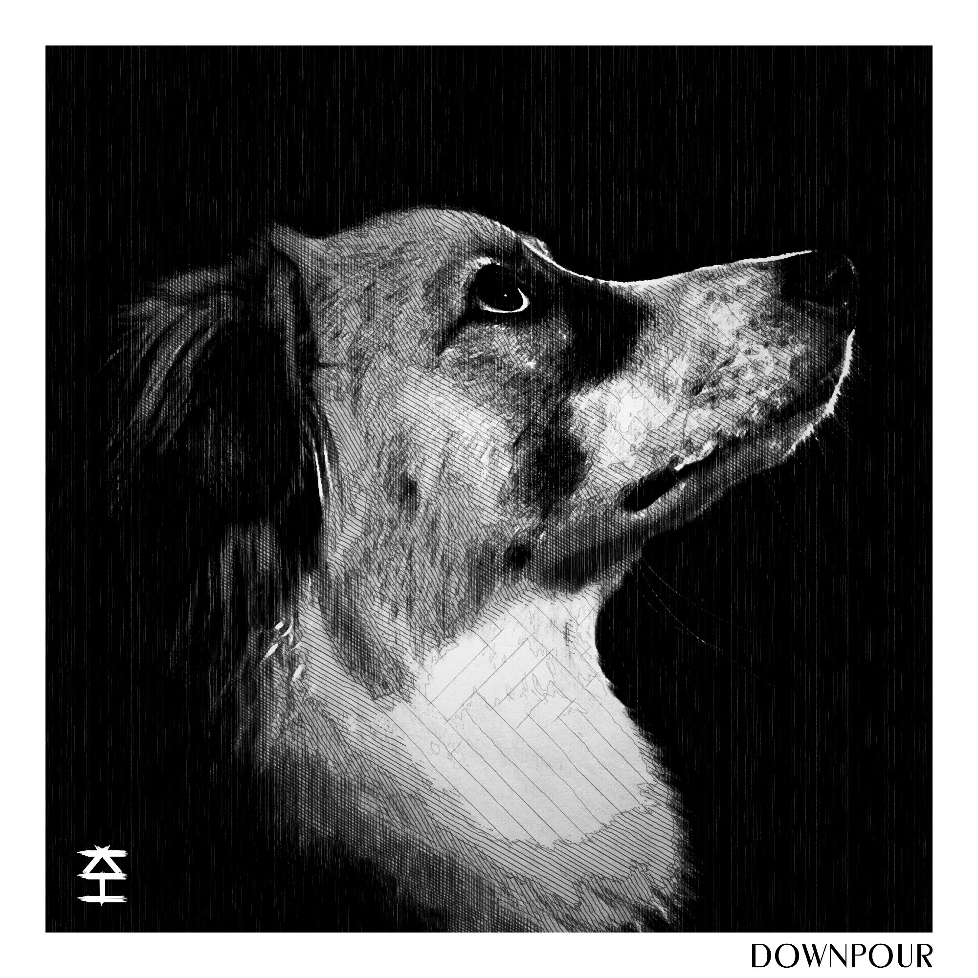 Downpour - Greyscale digital art of a dog in the dark, looking up at the rain