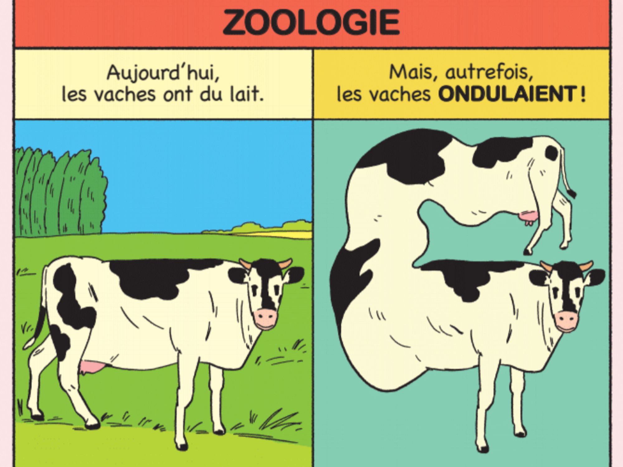 Un extrait de la rubrique de TOPO, Fake News par Léo Maret dans lequel il est question de vache qui, aujourd'hui, ont du lait mais qui, autrefois, ondulaient.