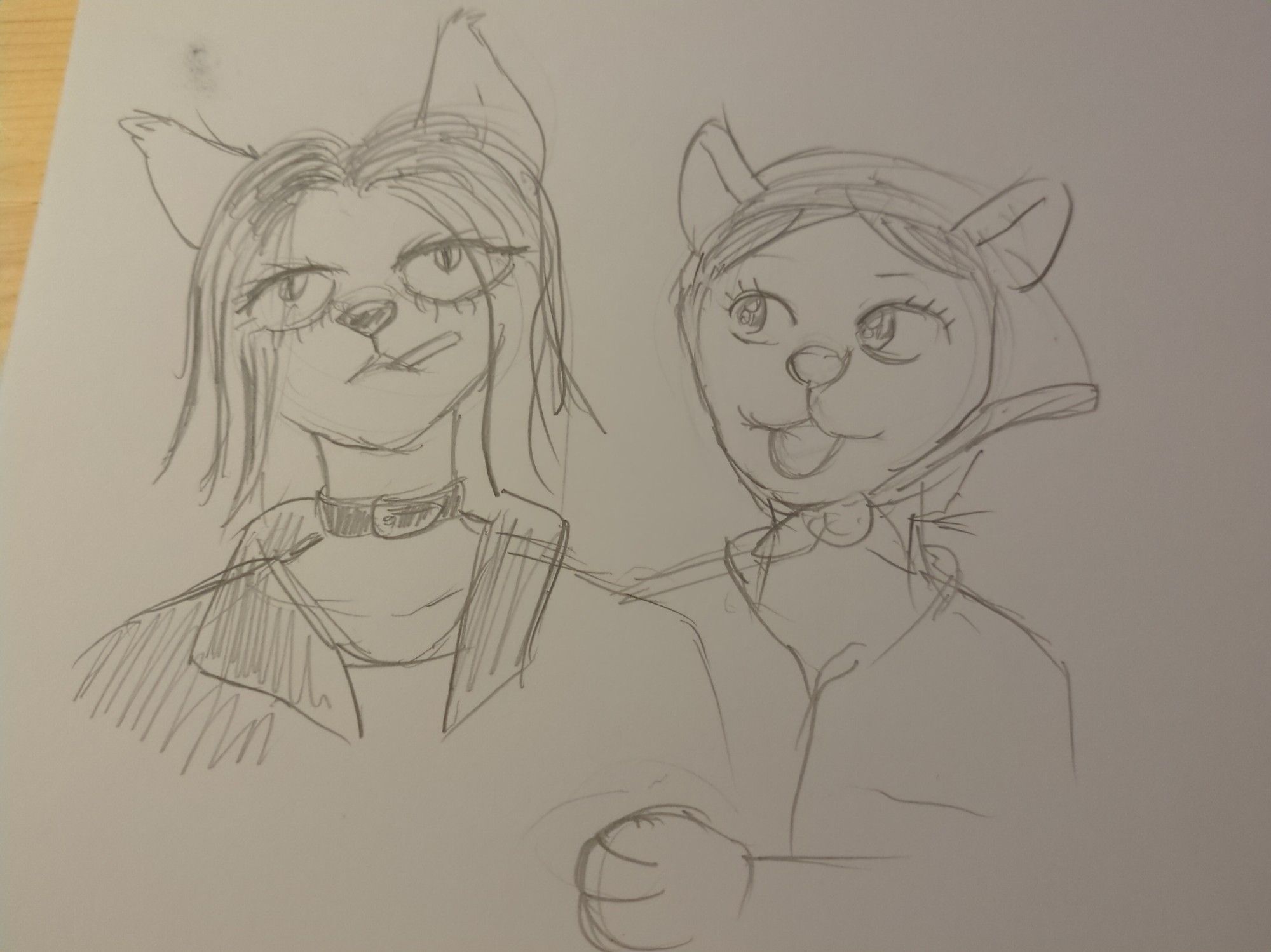 Both nanas from Nana as a cat and dog respectively