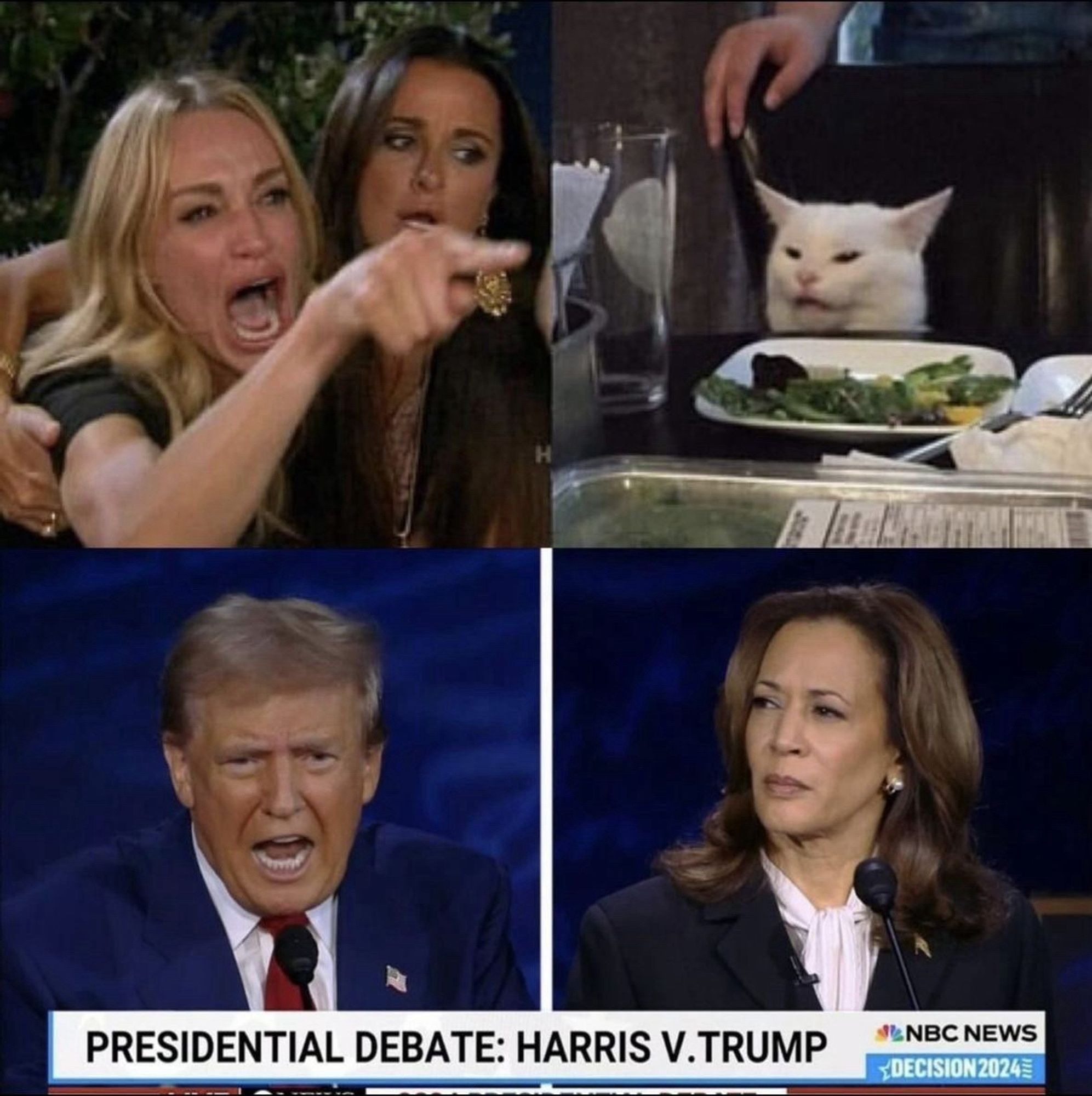 Top pair of images are the screaming woman and chill cat meme.

Below pair of images shows Donald and Harris from the ABS debate with similar facial expressions.