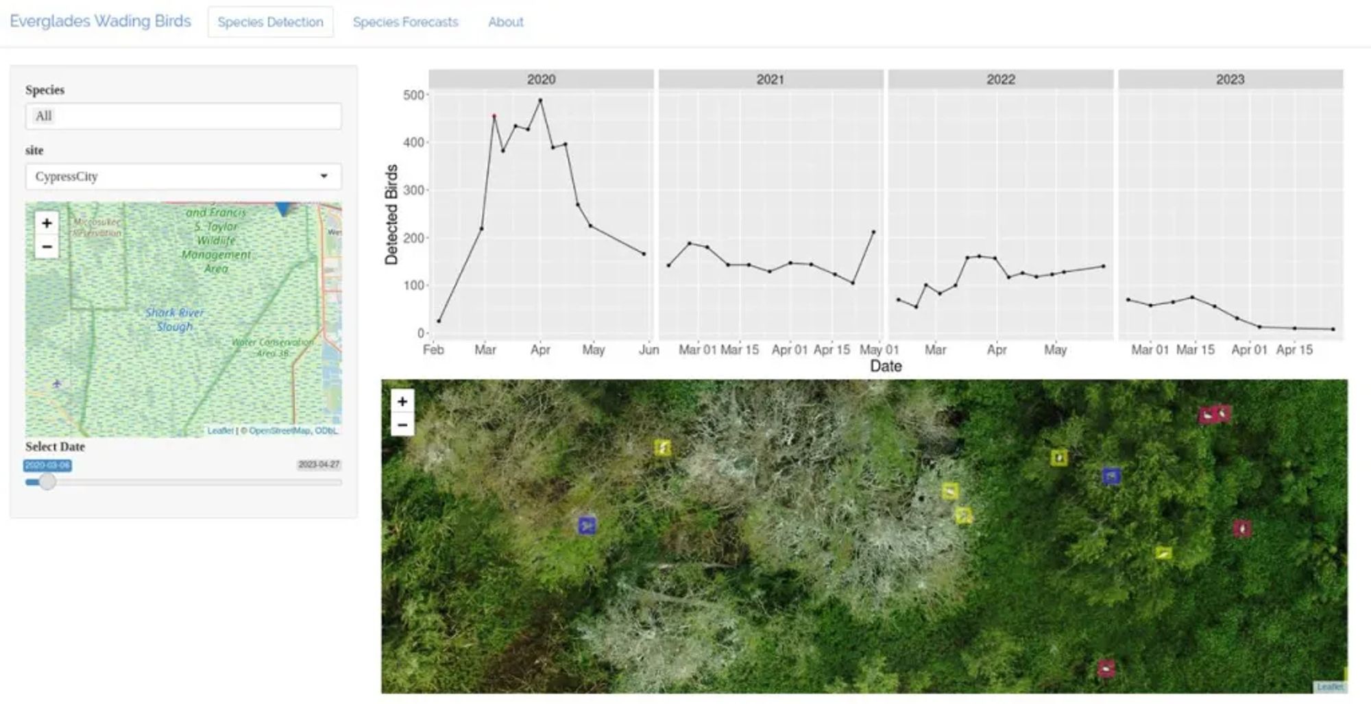 Screenshot of https://everwatch.weecology.org. Map showing the general location of the colony, CypressCity. Time-series showing the total counts of all birds in that colony weekly during the February-April for 2000-2023. A zoomed in image showing individual bird detections on top of the imagery.