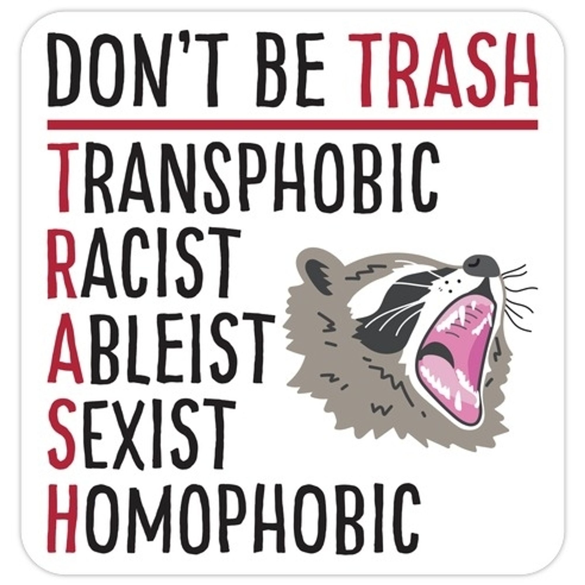 Image says Don't be TRASH
Transphobic
Racist
Ableist 
Sexist
Homophobic

Pictured with a snarling raccoon