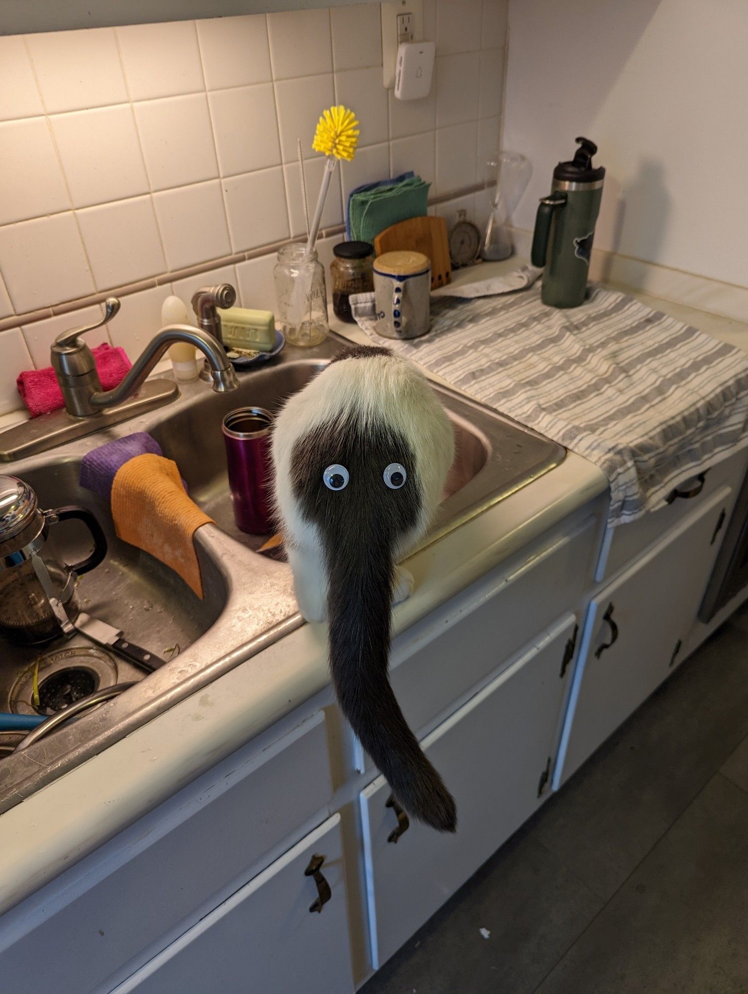 The rear of a piebald cat stepping into the sink. He's white, but his tail and but butt are dark gray. His tail is hanging down. He has googly eyes on his gray butt, so it looks like an elephant face.