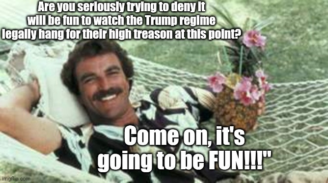 Tom Selleck as, Magnum, P.I., is reclining in a hammock, while he & his epic mustache are grinning with one arm extended behind his head & holding what appears to be a fancy piña colada in the other hand with the words, "Are you seriously trying to deny it will be fun to watch the Trump regime legally hang for their high treason at this point?
Come on, it's going to be FUN!!!"