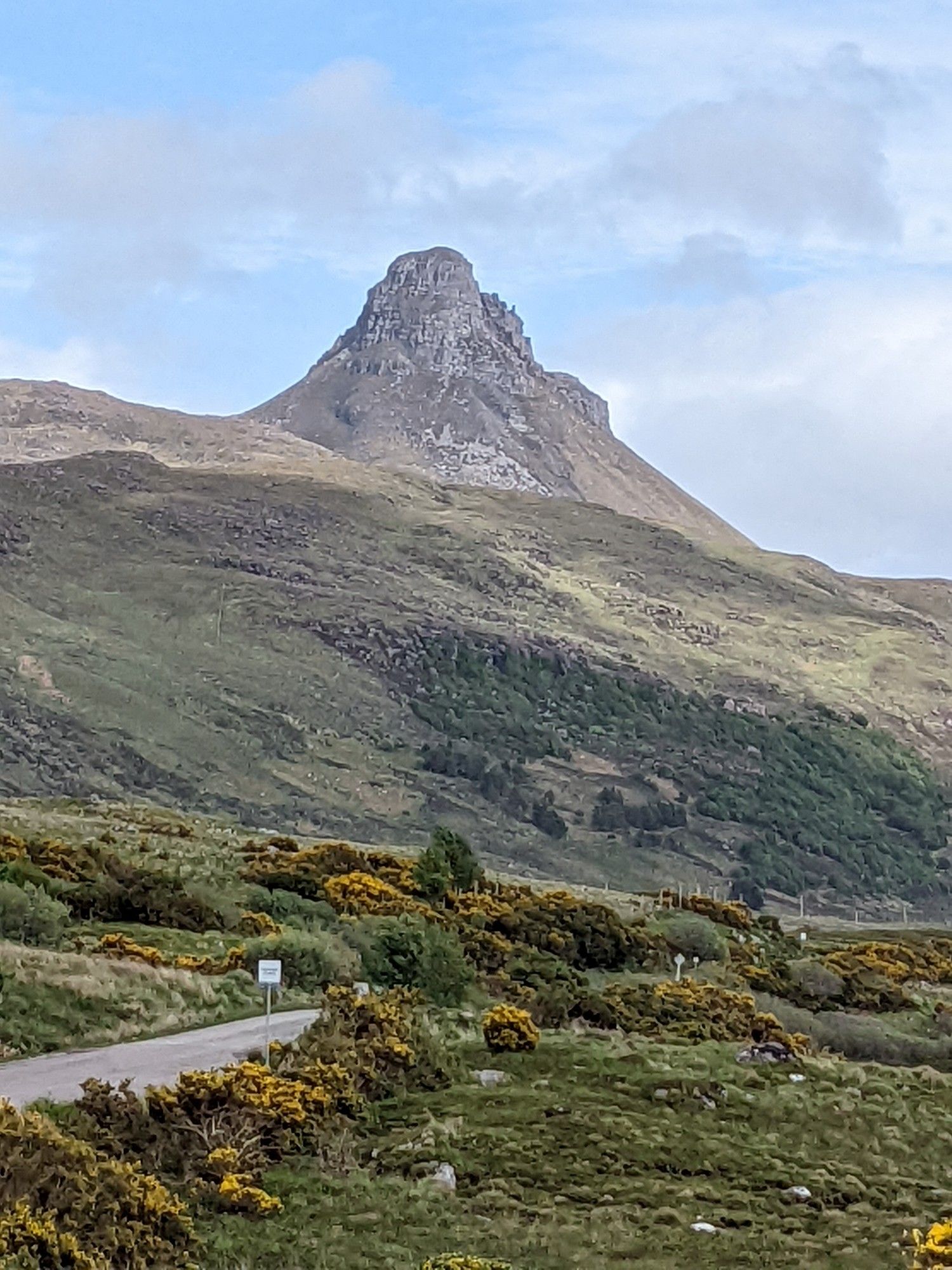 Triangular shaped hill in the background with single track road flanked by yellow flowering gorse in the foreground