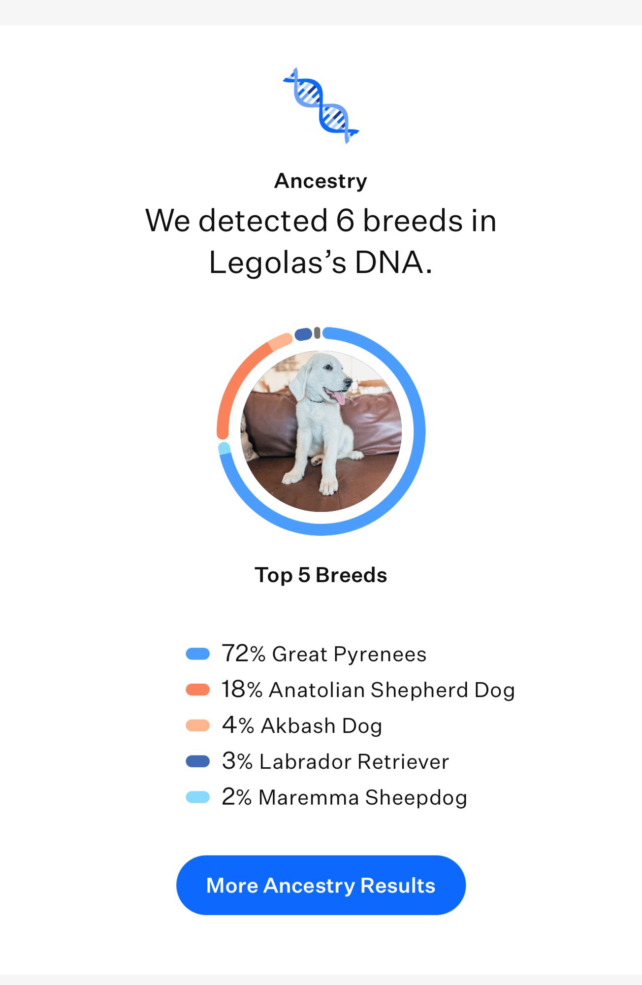 Legolas is: 

72% Great Pyrenees
18% Anatolian Shepherd Dog
4% Akbash Dog
3% Labrador Retriever
2% Maremma Sheepdog