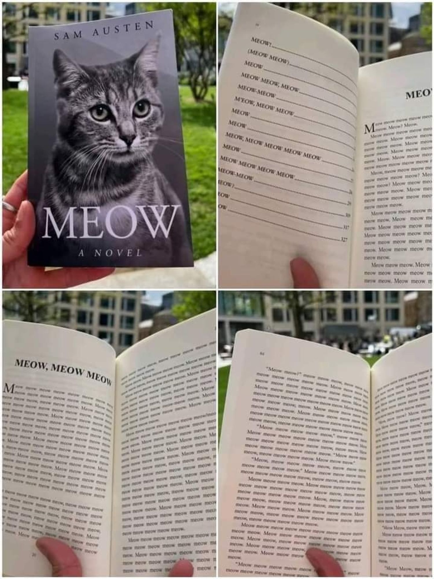 Book about cat