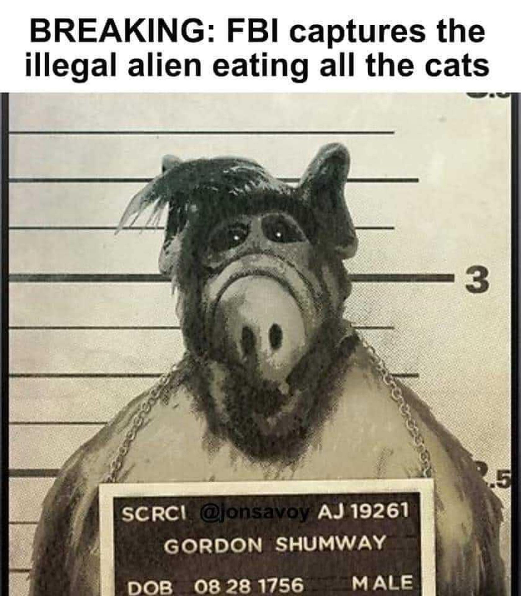 A sketch of Alf in a police mug shot with the caption breaking: FBI captures the illegal alien eating all the cats