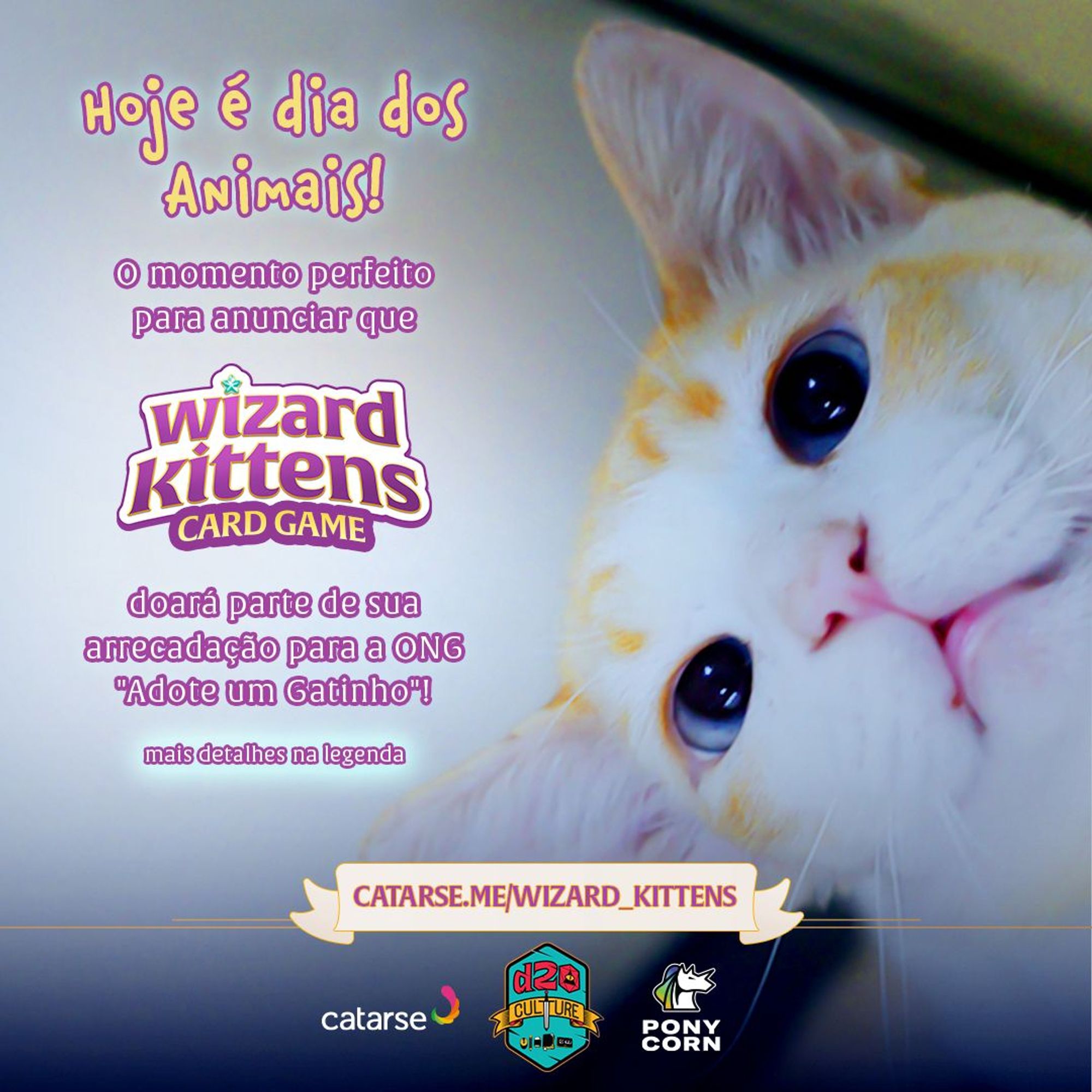 Imagem do Benny, gatinho da ONG que está para adoção. Ele é amarelo e branco, com olhinhos azuis. Ao lado dele, o texto: HOJE É DIA DOS ANIMAIS! O Momento perfeito para anunciar que Wizard Kittens doará parte de sua arrecadação para a ONG "Adote um Gatinho"! Mais detalhes na legenda.

Abaixo, o link como no texto e as logos do catarse, d20 culture e ponycorn