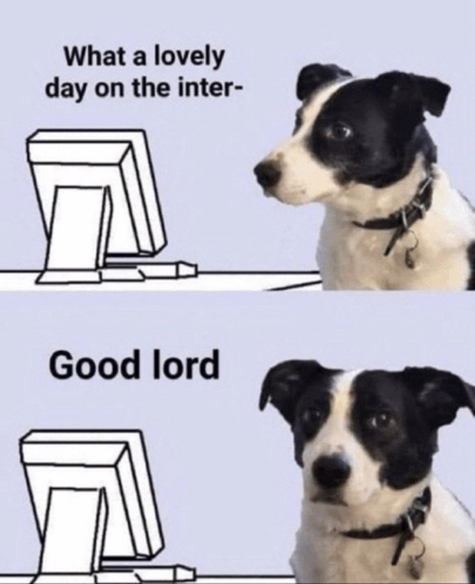 Meme in which a cute dog looks at a computer screen, starts to say “what a lovely day on the inter[net],” but is suddenly disturbed by something it sees online and then looks sorrowfully at the viewer while saying “Good Lord”