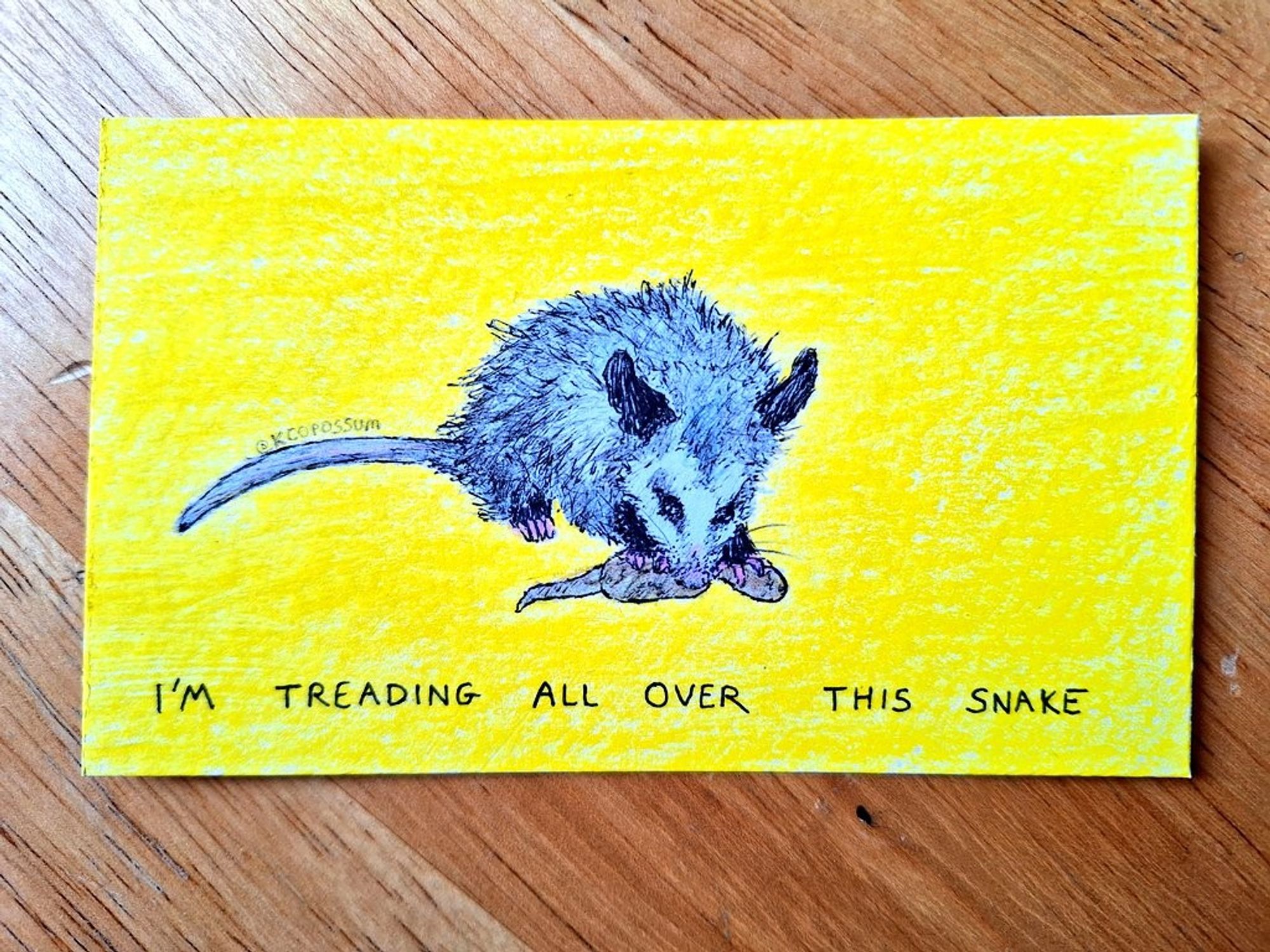 An illustration of an opossum stepping on a snake, made to imitate the style of the gadsden flag, it says IM STEPPING.ALL OVER THIS SNAKE