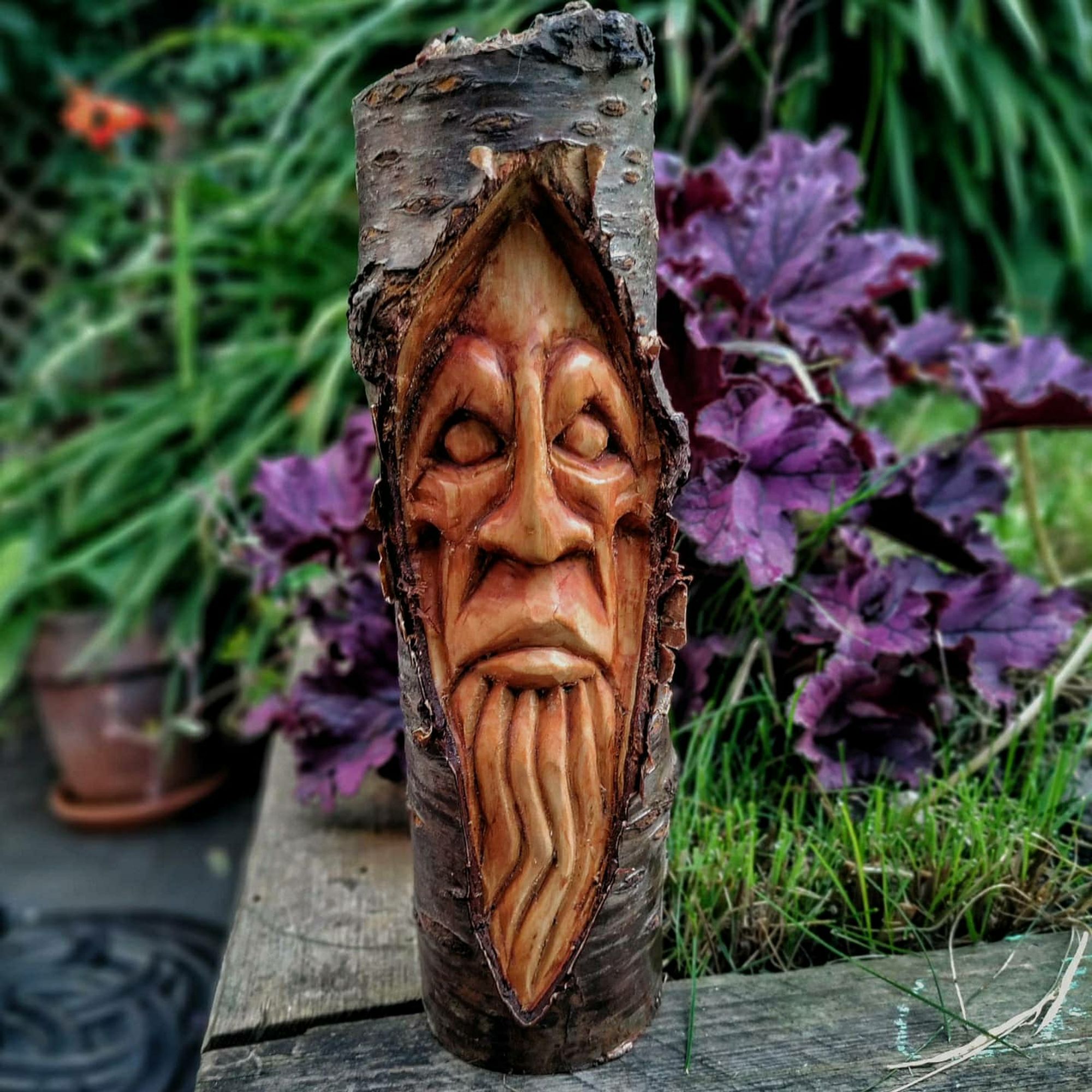 A lump of cherry branch with a stern, bearded face carved into it, lots of swirly red grain. Photographed in the garden at 6am.