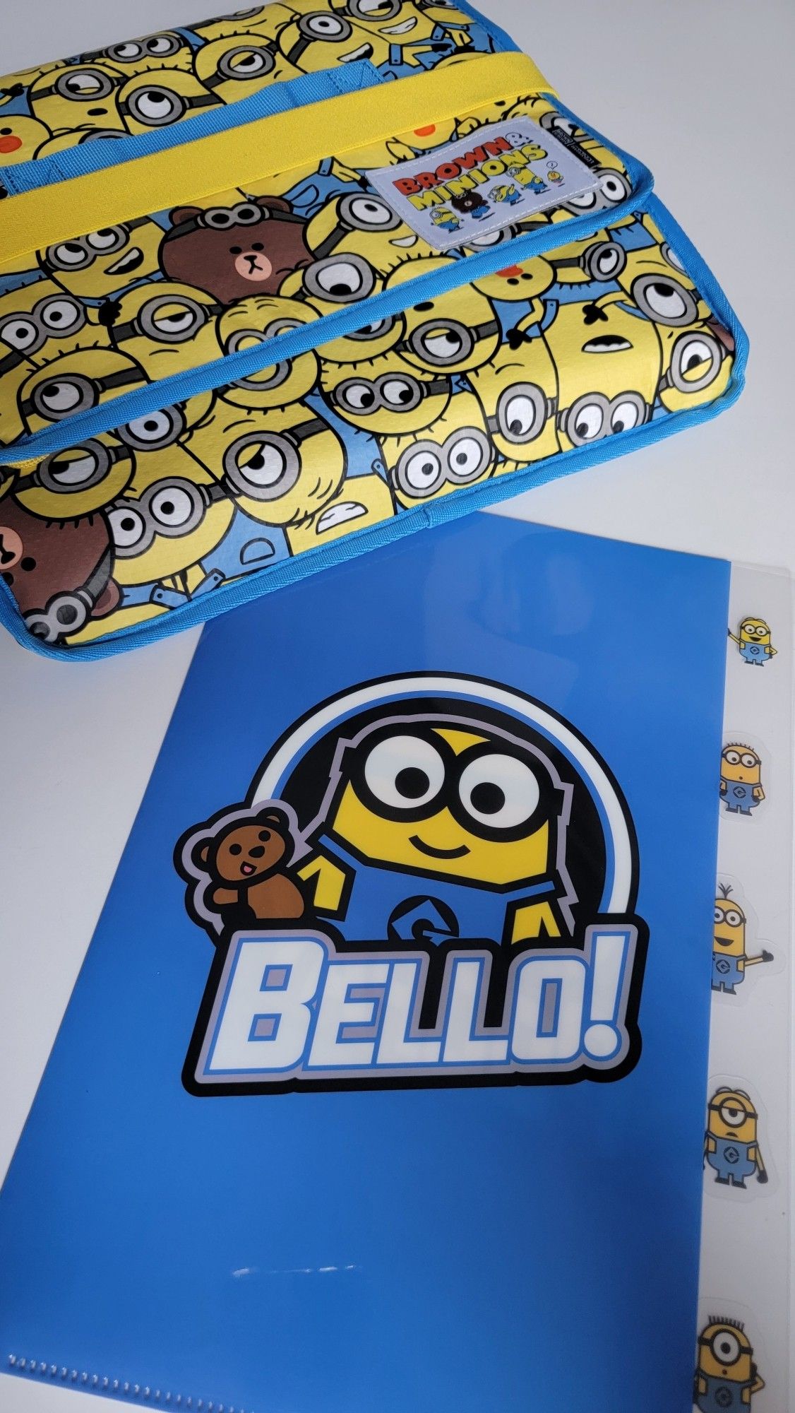 Minions foldable insulated cooler and matching clear file folder