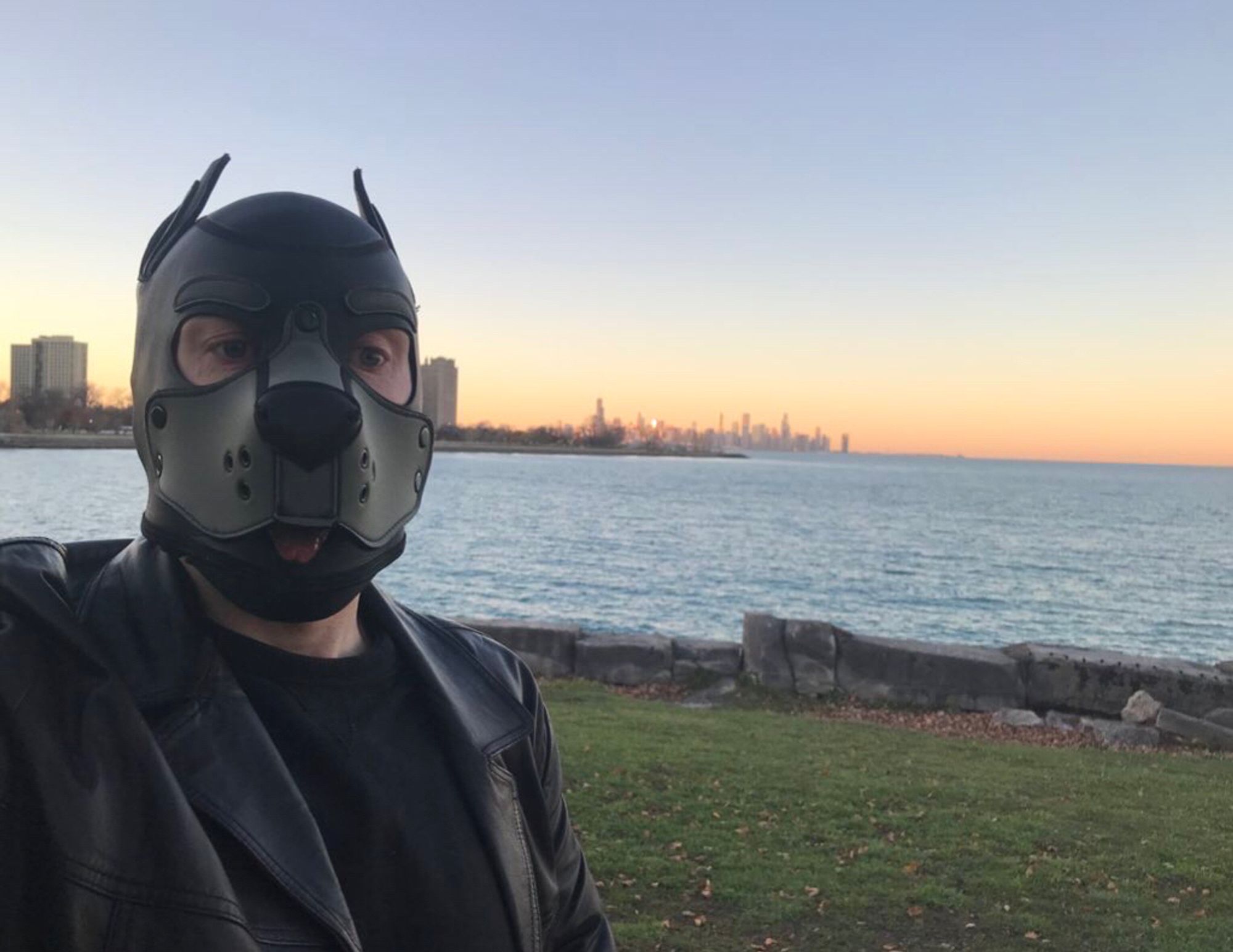 Houdini, in a grey neoprene Mr S Leather pup hood and leather coat, is standing (not too) near the edge of a promontory.  It is near sunset, and the sky turns orange near the horizon.  Lake Michigan is visible in the background, and further up the coast so is the distinctive skyline of Chicago.