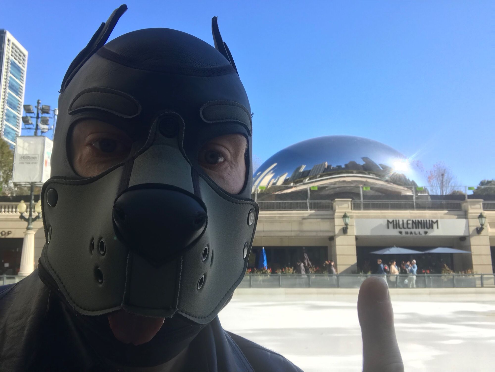 Pup in a grey Neoprene Mr S Leather mask is looking towards the camera.  One finger is raised upwards pointing to "the Bean" (the Cloud Gate) behind him.  The Chicago skyline is reflected in the shiny Bean.