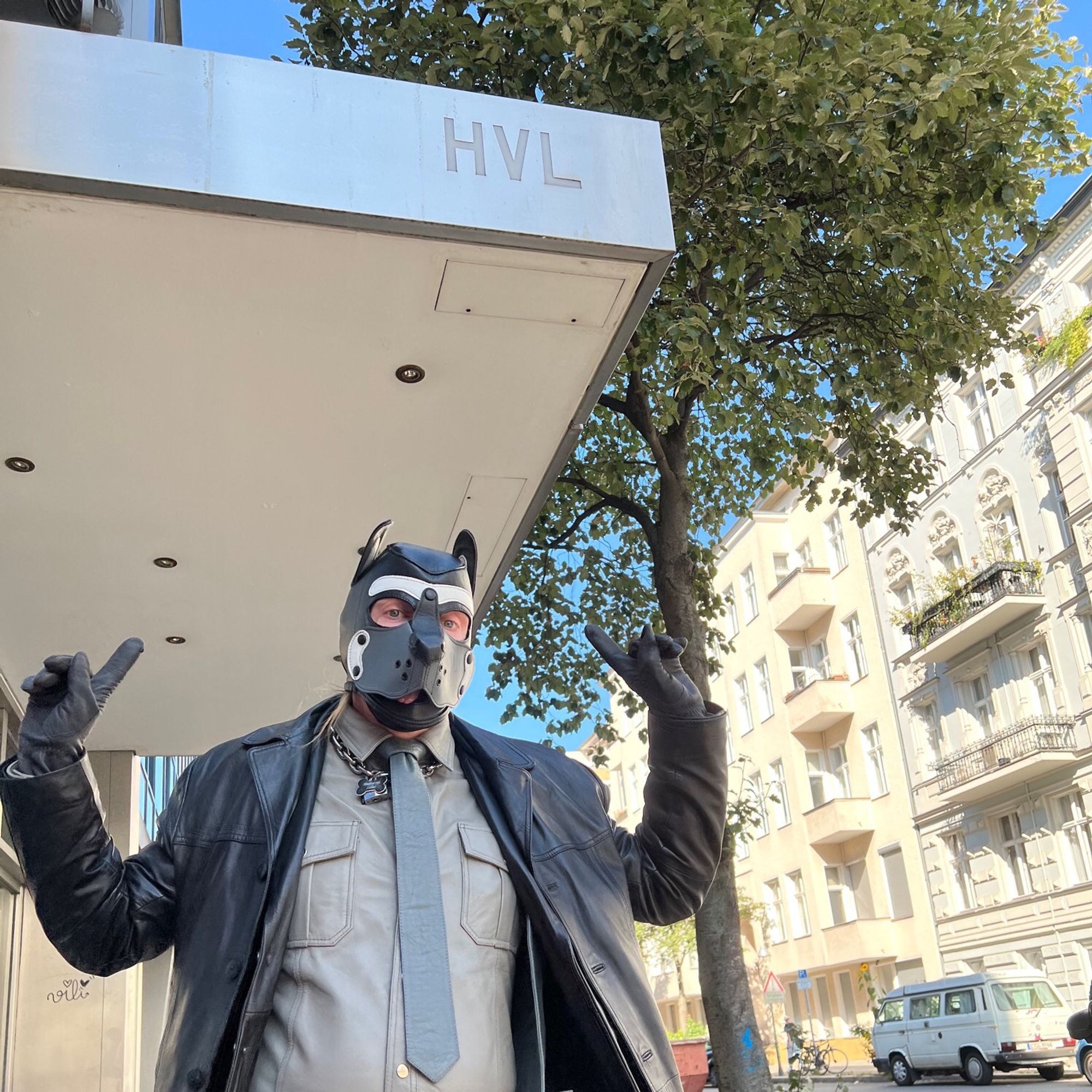 A Pup in a black, grey and white leather Mr S hood, and a chain collar.  The Pup is wearing far too much leather in bright sunshine (grey shirt, different grey tie, and differenter grey waistcoat, with black blazer, black 3/4 length coat, and other grey gloves).  The Pup is excitedly pointing up to a sign on a building which says "HVL"