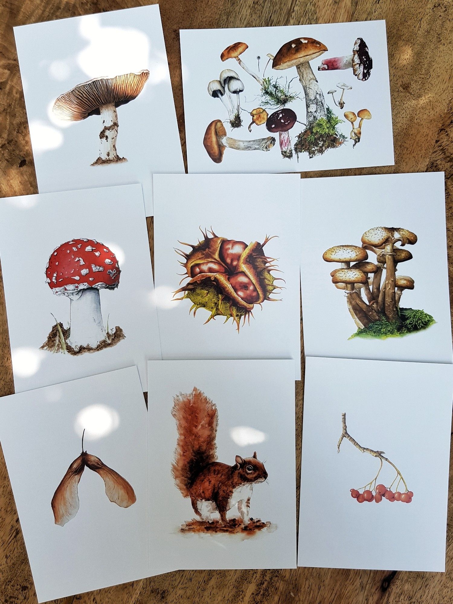 Set van 8 herfstkaarten met paddestoelen, een eekhoorn, kastanje, besjes en een helikoptertje