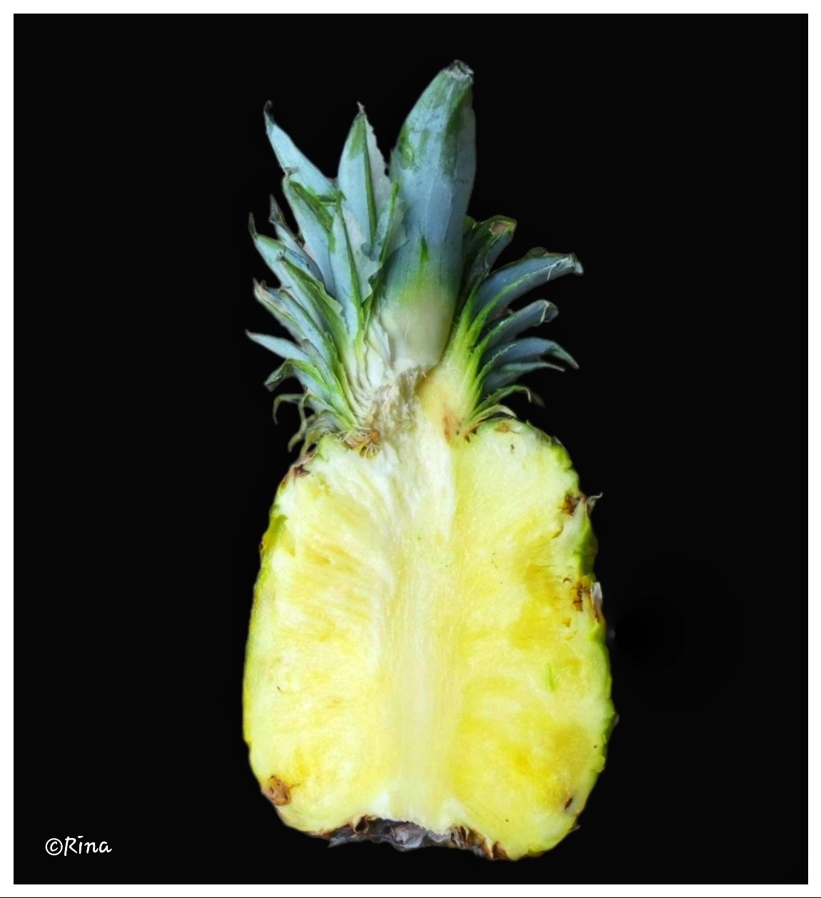 A pineapple cut in half against a black background, the cut surface is in front