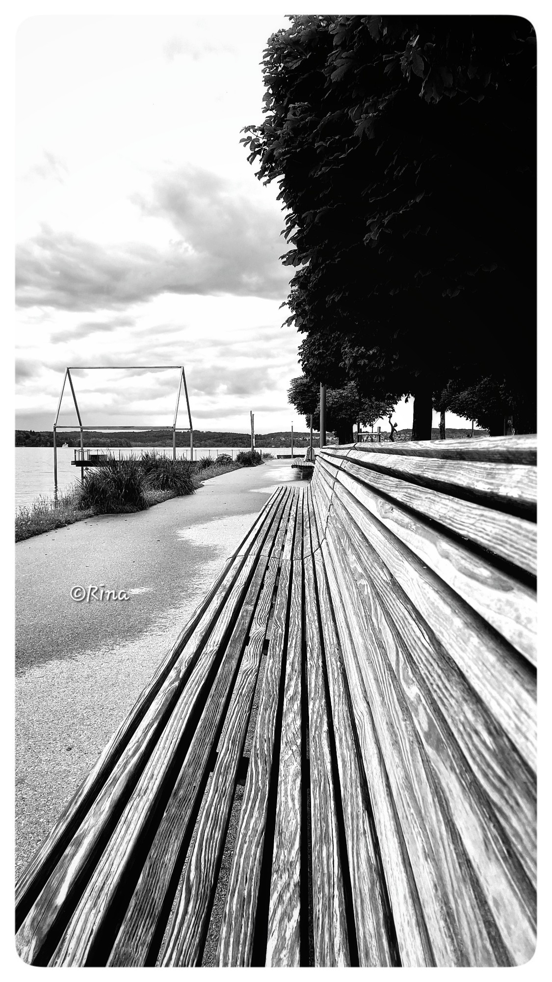 A park bench is photographed lengthwise. Behind the bench there is a tree on the right side, and water on the left. The sky is cloudy. Black and white photo