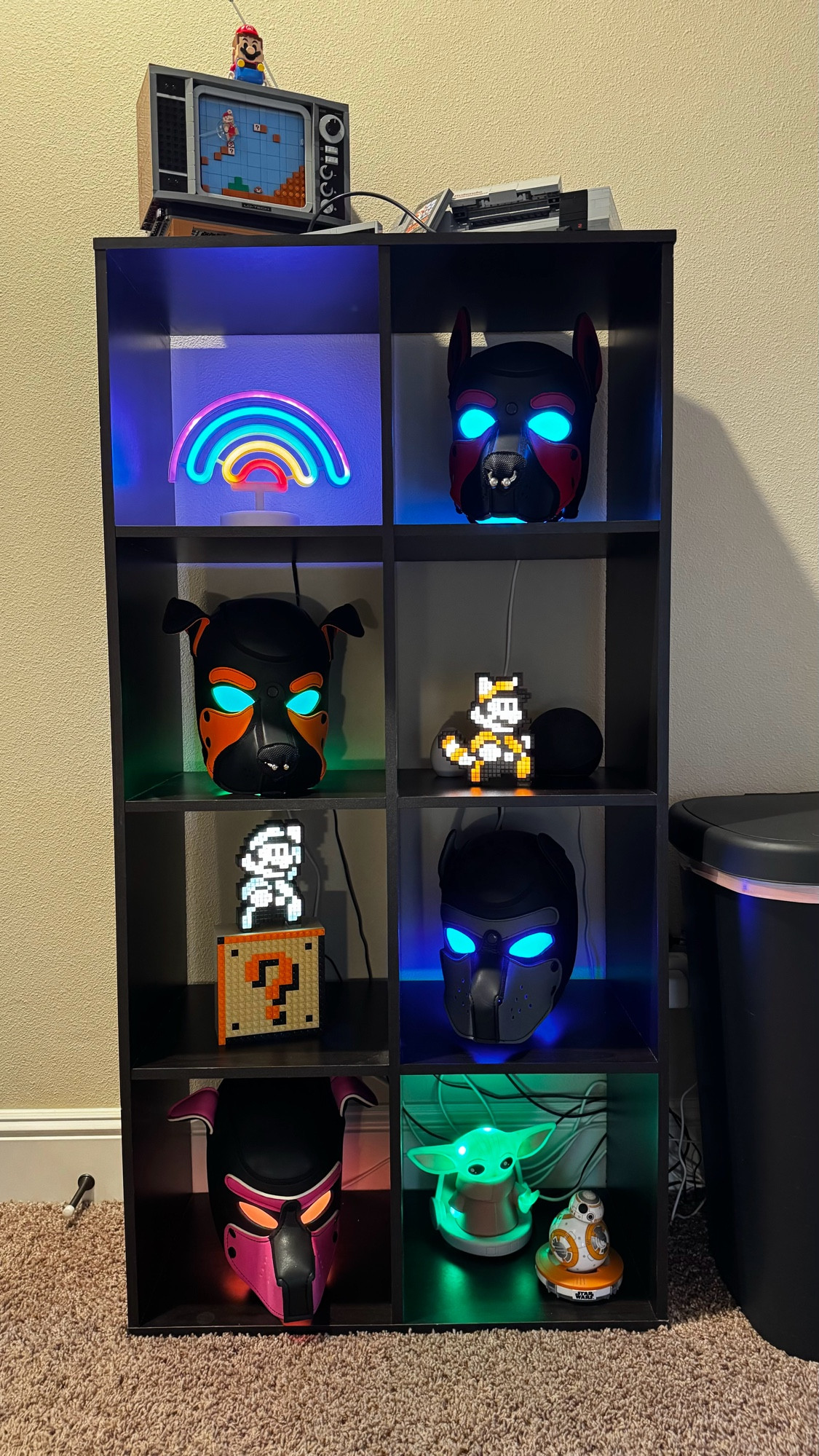 display cabinet with four pup hoods on display