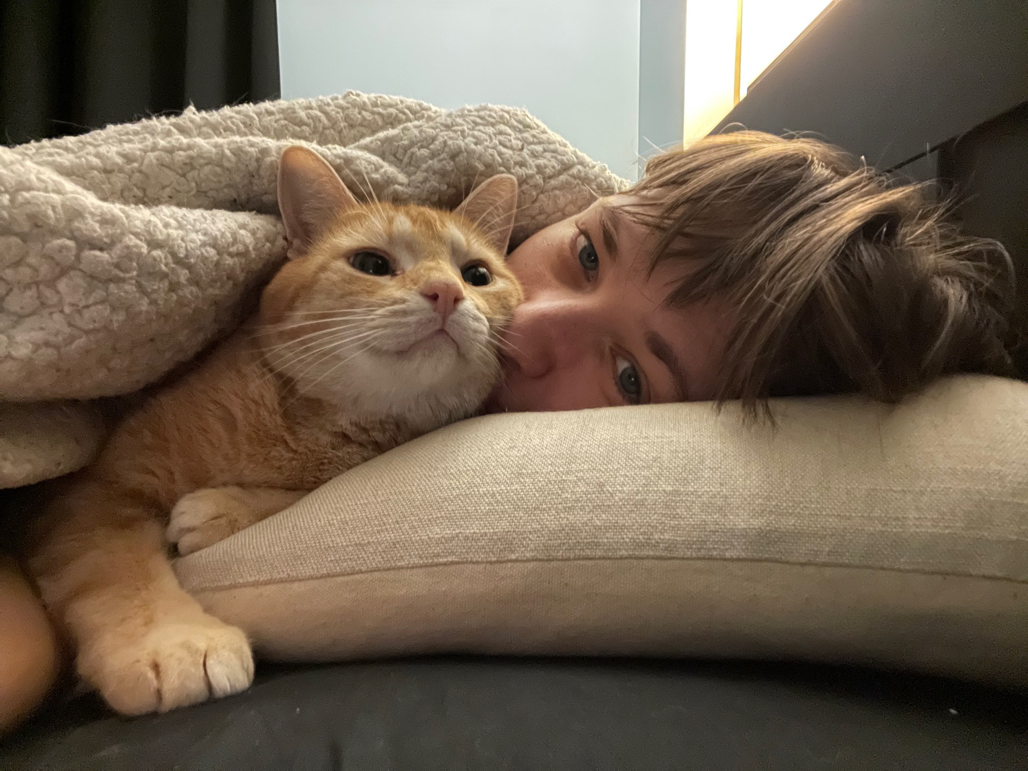 taako, a very orange cat, sharing a pillow and a fleecy blanket with his human