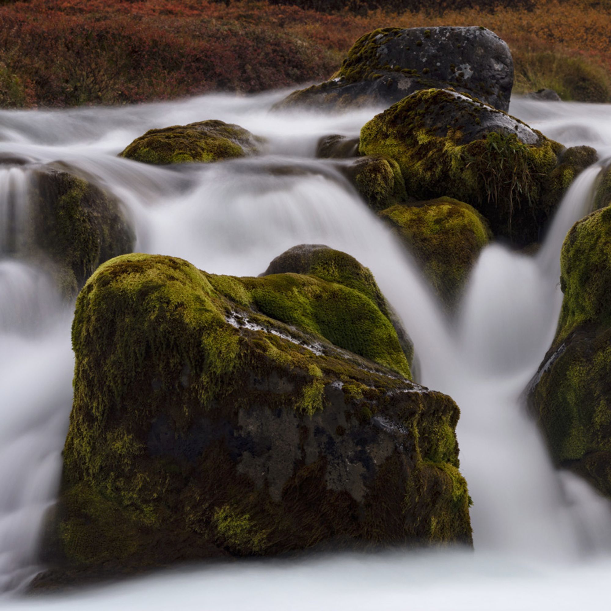 Moss and lichen covered boulders in the midst of cascades and autumn coloured heath in the background at Hundafoss waterfall in Iceland