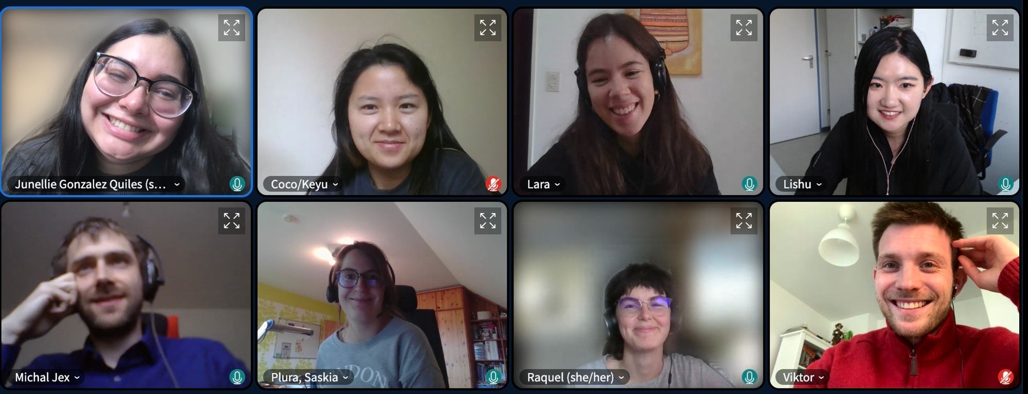 Screenshot of team members as seen from the virtual platform. Junellie is on the top left, Keyu is to Junellie's right, Lara is to Keyu's right and Lishu is at the top right panel. In the bottom panel, Michal is on the bottom left, Saskia who is the team member is to the right of Michal, Raquel is to the right of Saskia and Viktor is at the bottom right panel.