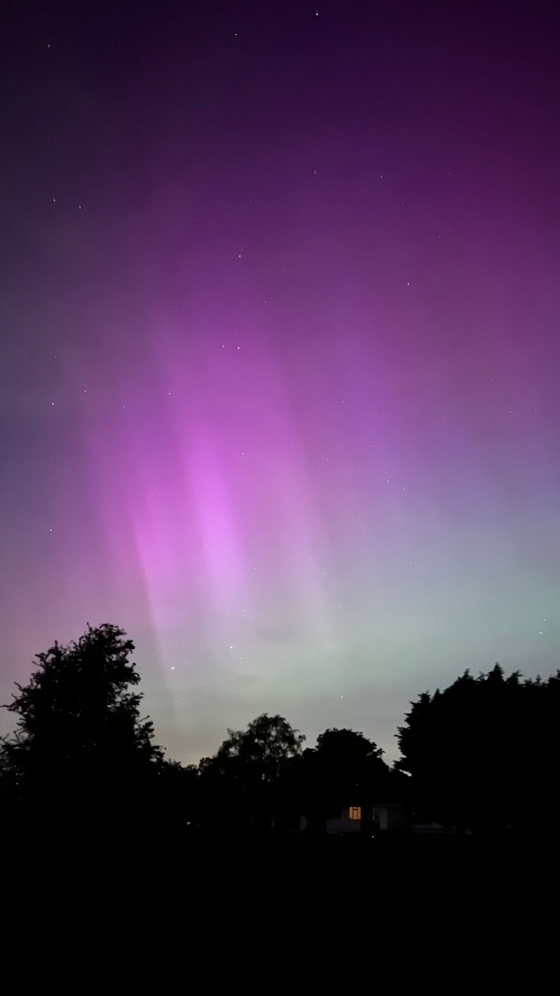 Aurora stripes in pink over a green band above some silhouetted trees 