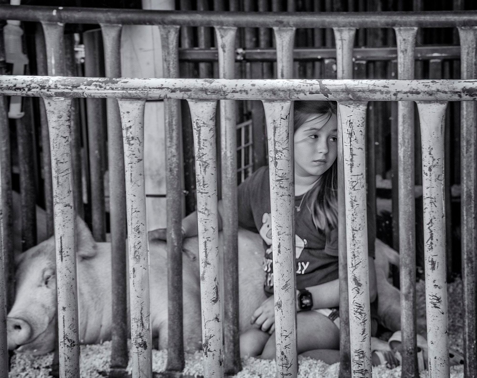 Young girl sits with her pig in a pen at the Napa County Fair where she has entered the animal in the 4H Club contest.