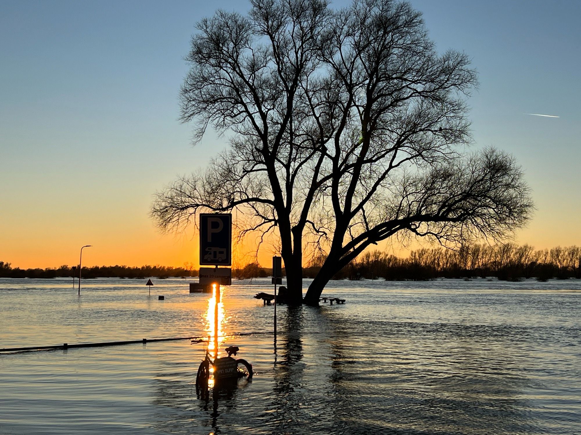 Hoogwater en ondergelopen kade van de IJssel tijdens zonsondergang. In het midden een boom in het water. Vooraan een fiets in het water.