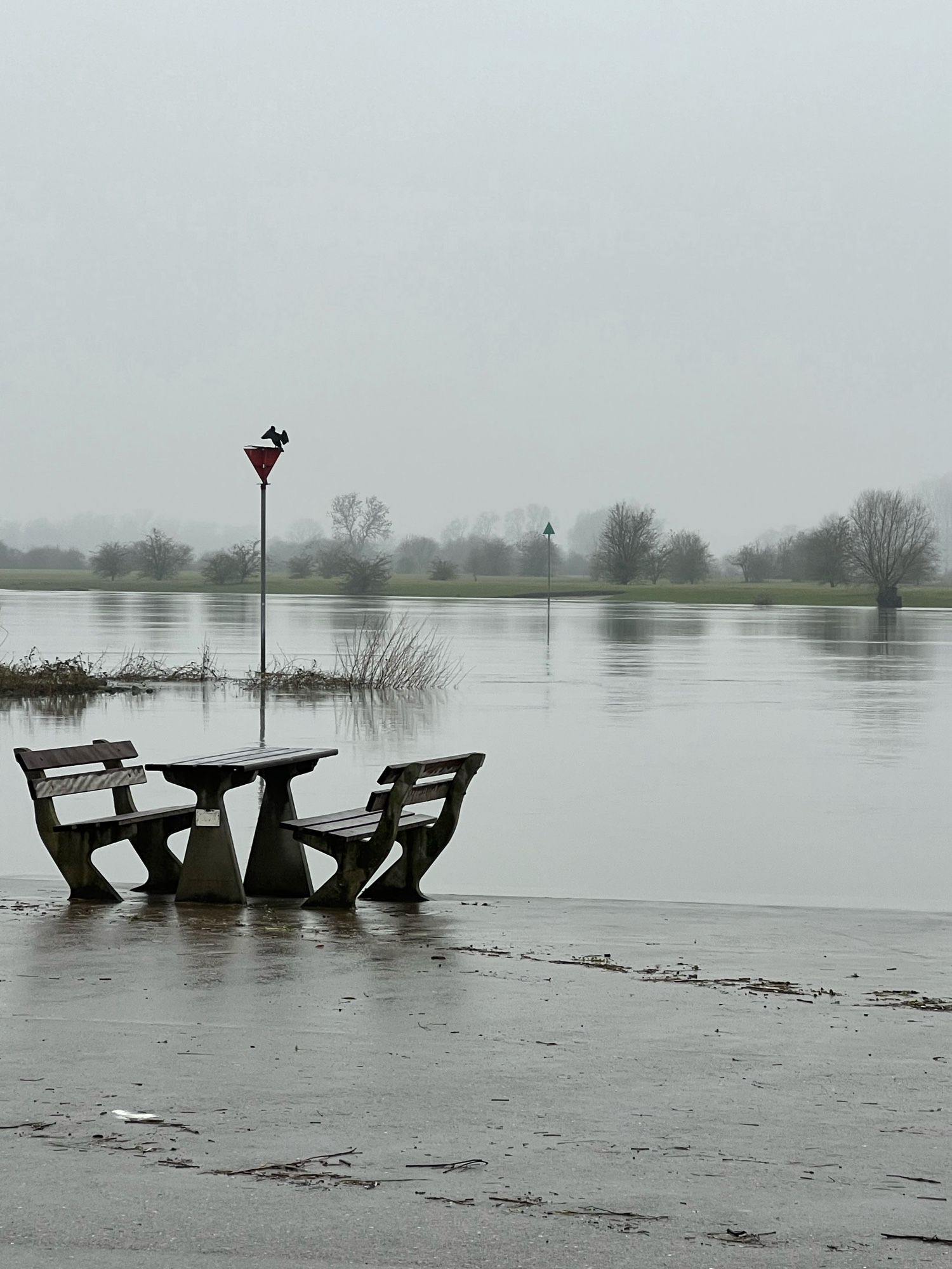 Ondergelopen kade langs de IJssel. 
Eén picknick tafel met 2 banken staan in het water. Op een krib zit een aalscholver zijn veren te drogen op een bord.