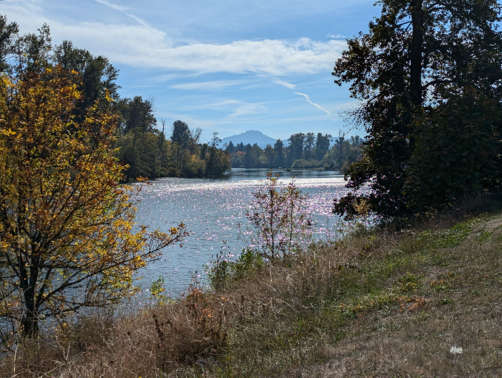 A river flows with water glimmering near a riverbank. There are trees all along it. The sky is clear blue with light cirrus clouds. There is a butte in the horizon off in the distance. 