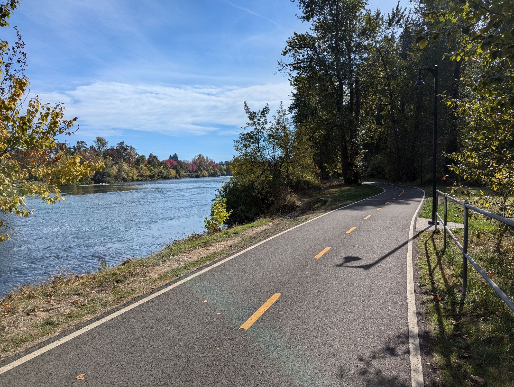 A bike path with road markings heads forward into a tree covered area next to a river. 