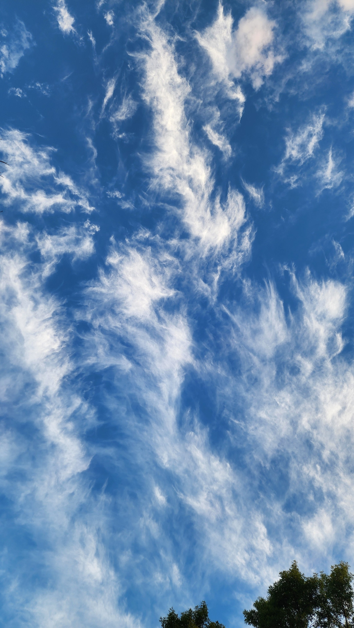 Whispy white Cirrus clouds against a dark blue sky.