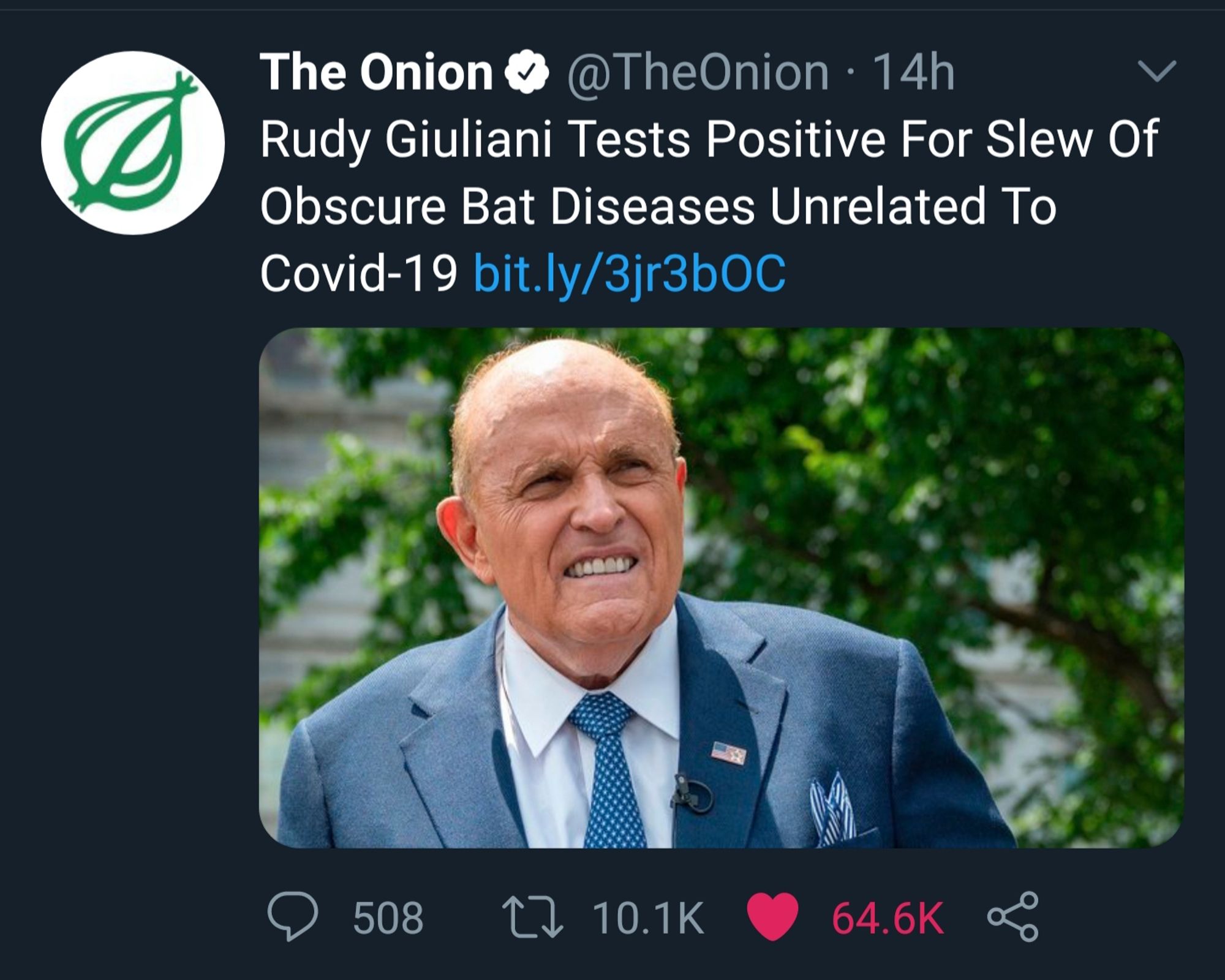 An Onion headline reading "Rudy Giuliani Tests Positive For Slew of Bat Diseases Unrelated to Covid-19"