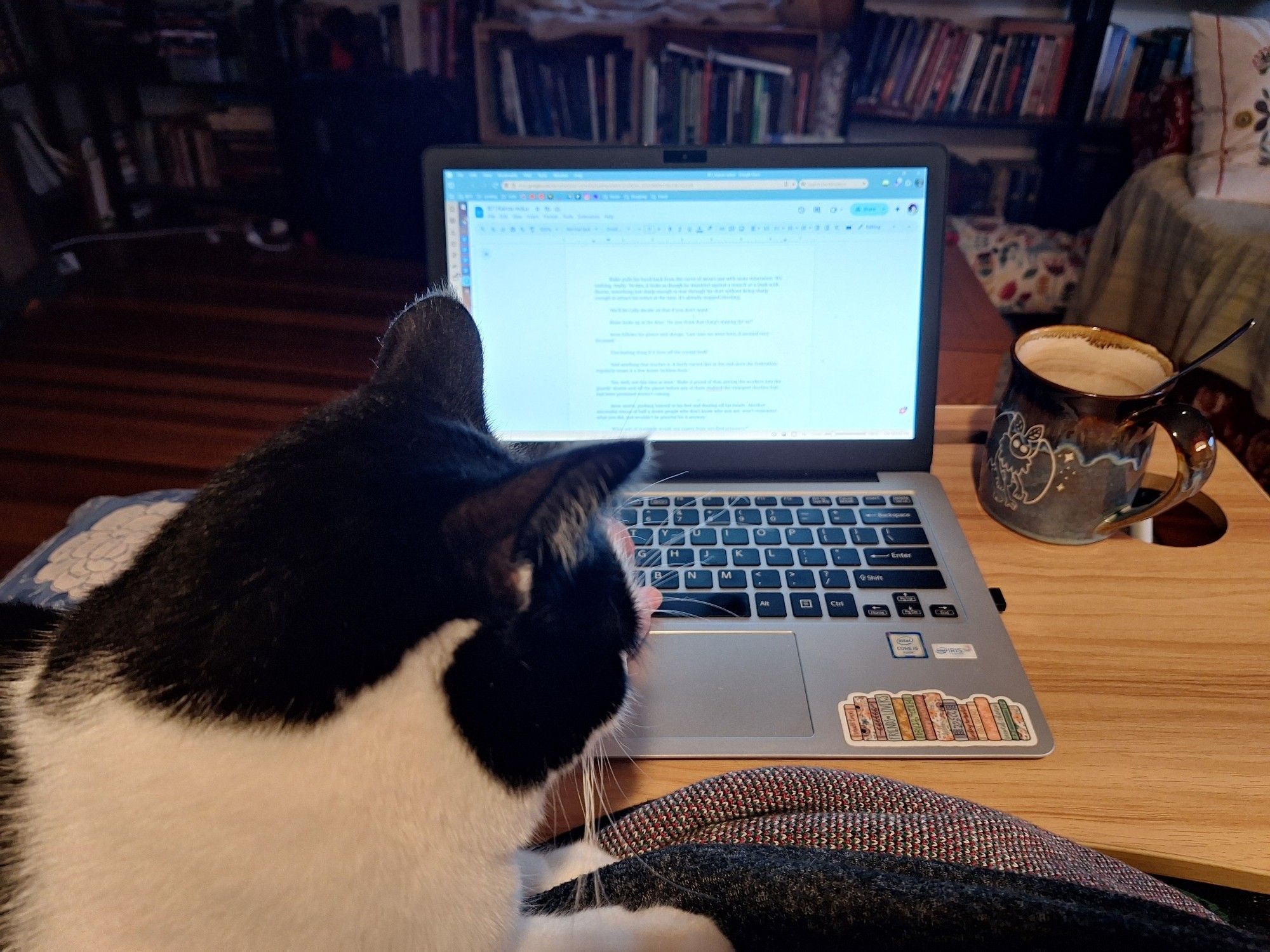 You are looking at the side view of a tuxedo cat who is sitting on my left wrist and forearm, thus preventing me from doing anything very meaningful with the laptop which is on a wooden lap desk in front of me, currently displaying a piece of Blake's 7 fanfic on which I had hoped to work.