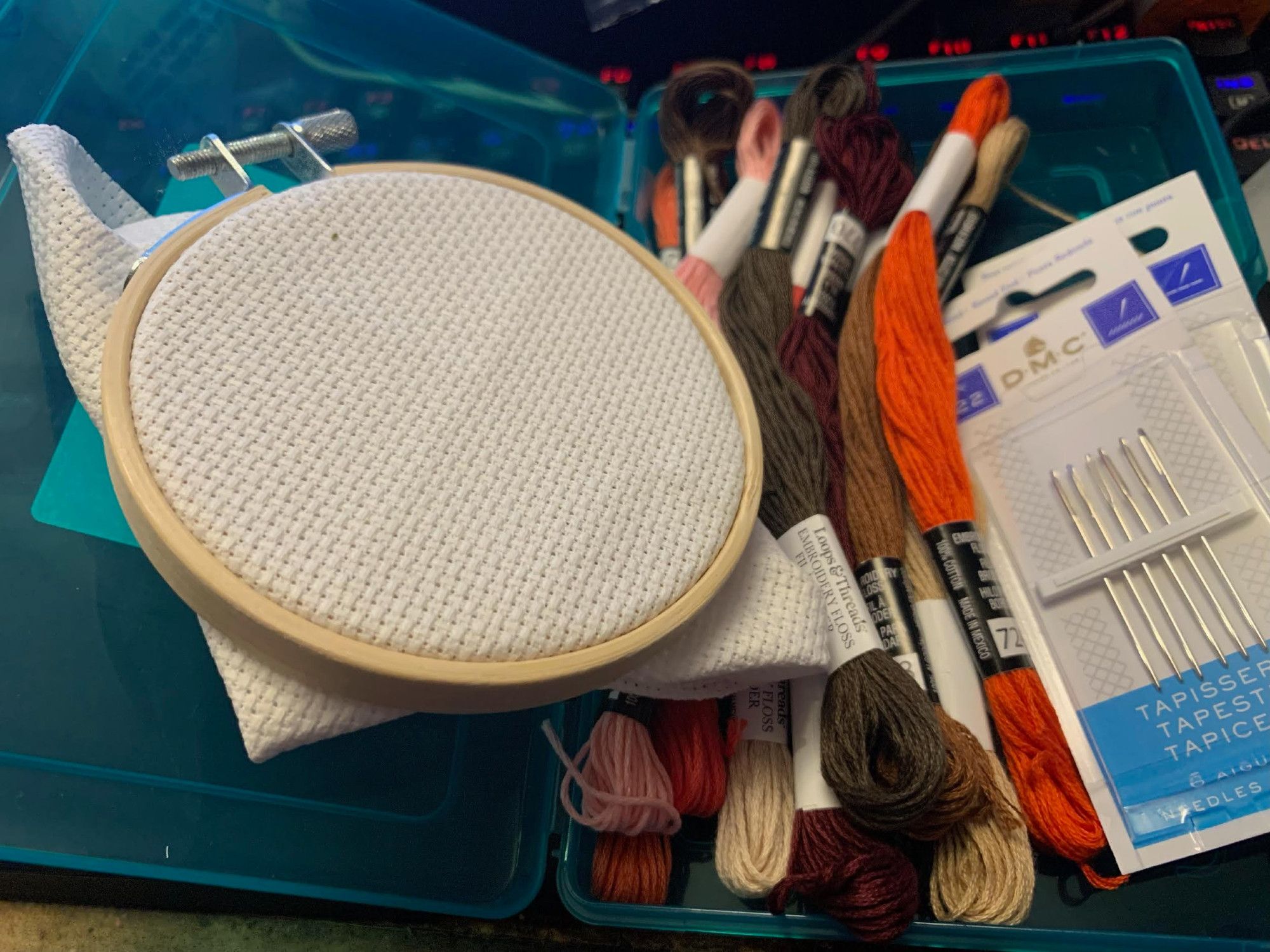 Cross stitching supplies. Needles, some fabric stretched on a hoop, and some skeins of embroidery floss.